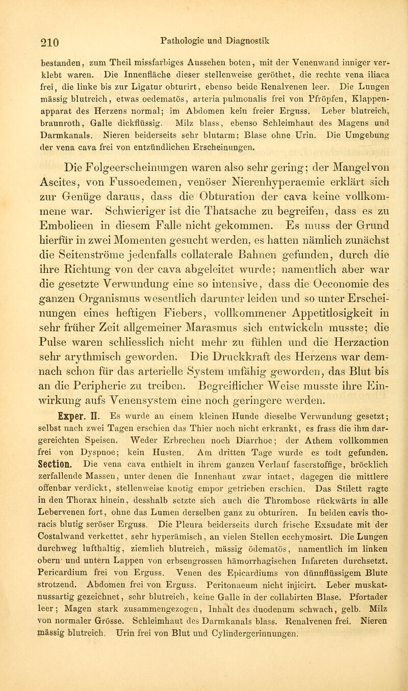 bestanden, zum Theil missfarbiges Aussehen boten, mit der Venenwand inniger ver- klebt waren. Die Innenfläche dieser stellenweise geröthet, die rechte vena iliaca frei, die linke bis zur Ligatur obturirt, ebenso beide Renalvenen leer. Die Lungen massig blutreich, etwas oedematös, arteria pulmonalis frei von Pfropfen, Klappen- apparat des Herzens normal; im Abdomen kein freier Erguss. Leber blutreich, braunroth, Galle dickflüssig. Milz blass, ebenso Schleimhaut des Magens und Darmkanals. Nieren beiderseits sehr blutarm; Blase ohne Urin, Die Umgebung der vena cava frei von entzündlichen Erscheinungen. Die Folgeerscheinungen waren also sehr gering; der Mangel von Ascites, von Fussoedemen, venöser Nierenhyperaemie erklärt sich zur Genüge daraus, dass die Obturation der cava keine vollkom- mene war. Schwieriger ist die Thatsache zu begreifen, dass es zu Embolieen in diesem Falle nicht gekommen. Es rauss der Grund hierfür in zwei Momenten gesucht werden, es hatten nämlich zmiächst die Seitenströme jedenfalls collaterale Bahnen gefunden, durch die ihre Richtung von der cava abgeleitet wurde; namentlich aber war die gesetzte Verwundung eine so intensive, dass die Oeconomie des ganzen Organismus wesentlich darunter leiden und so unter Erschei- nungen eines heftigen Fiebers, vollkommener Appetitlosigkeit in sehr früher Zeit allgemeiner Marasmus sich entwickeln musste; die Pulse waren schHesslich nicht mehr zu fühlen und die Herzaction sehr arythmisch geworden. Die Druckkraft des Herzens war dem- nach schon für das arterielle System unfähig geworden, das Blut bis an die Peripherie zu treiben. Begreiflicher Weise musste ihre Ein- wirkung aufs Venensystem eine noch geringere werden. Exper. 11. Es wurde an einem kleinen Hunde dieselbe Verwundung gesetzt; selbst nach zwei Tagen erschien das Thier noch nicht erkrankt, es frass die ihm dar- gereichten Speisen. Weder Erbrechen noch Diarrhoe; der Athem vollkommen frei von Dyspnoe; kein Husten. Am dritten Tage wurde es todt gefunden, SectiOQ. Die vena cava enthielt in ihrem ganzen Verlauf faserstoffige, bröcklich zerfallende Massen, unter denen die Innenhaut zwar intact, dagegen die mittlere offenbar verdickt, stellenweise knotig empor getrieben erschien. Das Stilett ragte in den Thorax hinein, desshalb setzte sich auch die Thrombose rückwärts in alle Lebervenen fort, ohne das Lumen derselben ganz zu obturiren. In beiden cavis tho- racis blutig seröser Erguss. Die Pleura beiderseits durch frische Exsudate mit der Costalwand verkettet, sehr hyperämisch, an vielen Stellen ecchymosirt. Die Lungen durchweg lufthaltig, ziemlich blutreich, massig ödematös, namentlich im linken obern und untern Lappen von erbsengrossen hämorrhagischen Infarcten dui-chsetzt. Pericardium frei von Erguss. Venen des Epicardiums von dünnflüssigem Blute strotzend. Abdomen frei von Erguss. Peritonaeum nicht injicirt. Leber muskat- nussartig gezeichnet, sehr blutreich, keine Galle in der collabirten Blase. Pfortader leer; Magen stark zusammengezogen, Inhalt des duodenum schwach, gelb. Milz von normaler Grösse. Schleimhaut des Darmkanals blass. Renalvenen frei. Nieren massig blutreich. Urin frei von Blut und Cylindergerinnungen.