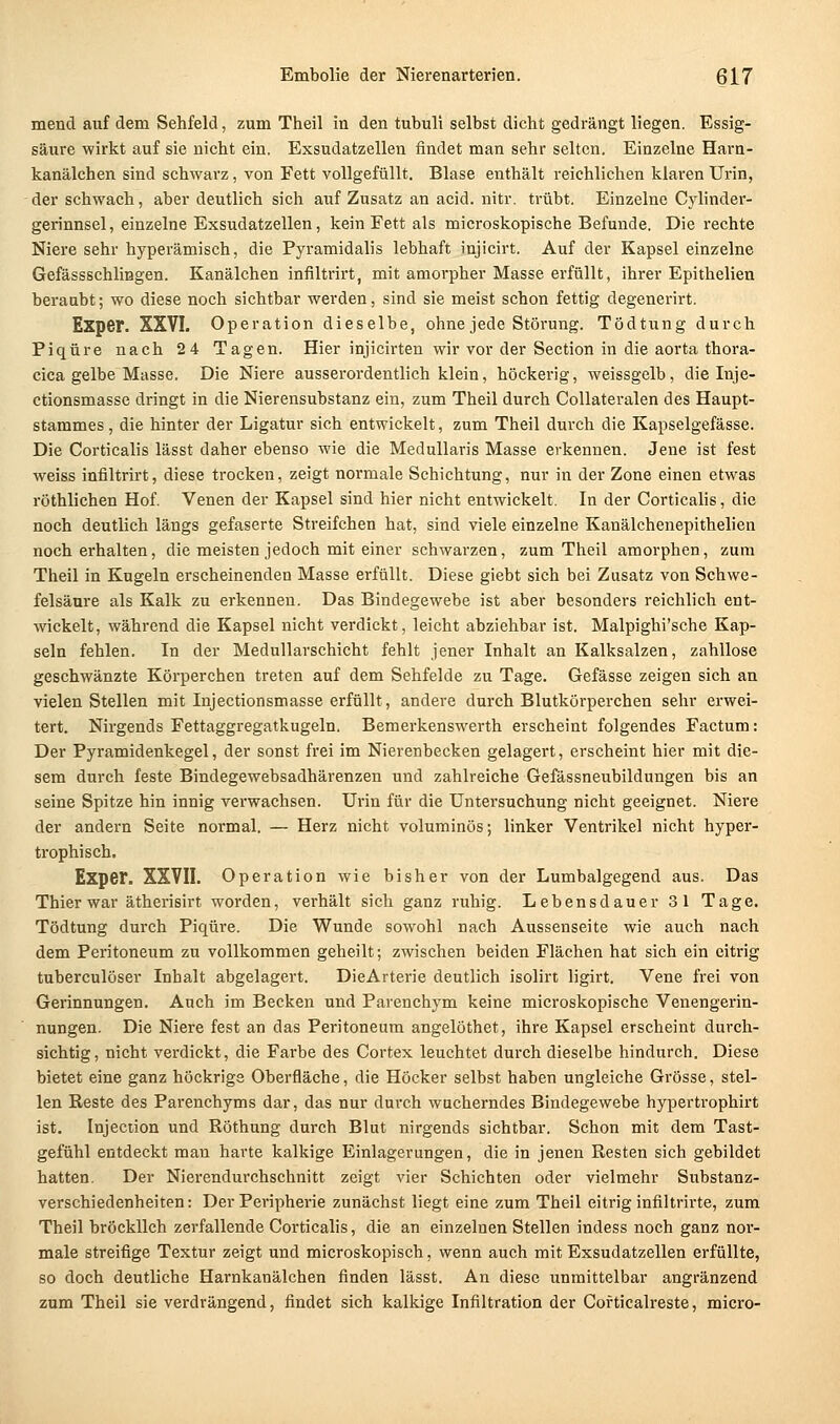 mend auf dem Sehfeld, zum Theil in den tubuli selbst dicht gedrängt liegen. Essig- sätire wirkt auf sie nicht ein. Exsudatzellen findet man sehr selten. Einzelne Harn- kanälchen sind schwarz, von Fett vollgefüllt. Blase enthält reichlichen klaren Urin, der schwach, aber deutlich sich auf Zusatz an acid. nitr. trübt. Einzelne Cylinder- gerinnsel, einzelne Exsudatzellen, kein Fett als microskopische Befunde. Die rechte Niere sehr hyperämisch, die Pyramidalis lebhaft injicirt. Auf der Kapsel einzelne Gefässschlißgen. Kanalchen infiltrirt, mit amorpher Masse erfüllt, ihrer Epithelien beraubt; wo diese noch sichtbar werden, sind sie meist schon fettig degenerirt. Expcr. XXVI. Operation dieselbe, ohne jede Störung. Tödtung durch Piqüre nach 24 Tagen. Hier injicirten wir vor der Section in die aorta thora- cica gelbe Masse. Die Niere ausserordentlich klein, höckerig, weissgelb, die Inje- ctionsmasse dringt in die Nierensubstanz ein, zum Theil durch CoUateralen des Haupt- stammes , die hinter der Ligatur sich entwickelt, zum Theil durch die Kapselgefässe. Die Corticalis lässt daher ebenso wie die Medullaris Masse erkennen. Jene ist fest weiss infiltrirt, diese trocken, zeigt normale Schichtung, nur in der Zone einen etwas röthlichen Hof. Venen der Kapsel sind hier nicht entwickelt. In der Corticalis, die noch deutlich längs gefaserte Streifchen hat, sind viele einzelne Kanälchenepithelien noch erhalten, die meisten jedoch mit einer schwarzen, zum Theil amorphen, zum Theil in Kugeln erscheinenden Masse erfüllt. Diese giebt sich bei Zusatz von Schwe- felsäure als Kalk zu erkennen. Das Bindegewebe ist aber besonders reichlich ent- wickelt, während die Kapsel nicht verdickt, leicht abziehbar ist. Malpighi'sche Kap- seln fehlen. In der Medullarschicht fehlt jener Inhalt an Kalksalzen, zahllose geschwänzte Körperchen treten auf dem Sehfelde zu Tage. Gefässe zeigen sich an vielen Stellen mit Injectionsmasse erfüllt, andere durch Blutkörperchen sehr erwei- tert. Nirgends Fettaggregatkugeln. Bemerkenswerth erscheint folgendes Factum: Der Pyramidenkegel, der sonst frei im Nierenbecken gelagert, erscheint hier mit die- sem durch feste Bindegewebsadhärenzen und zahlreiche Gefässneubildungen bis an seine Spitze hin innig verwachsen. Urin für die Untersuchung nicht geeignet. Niere der andern Seite normal. — Herz nicht voluminös; linker Ventrikel nicht hyper- trophisch. Exper. XXVII. Operation wie bisher von der Lumbaigegend aus. Das Thier war ätherisirt worden, verhält sich ganz ruhig. Lebensdauer 31 Tage. Tödtung durch Piqüre. Die Wunde sowohl nach Aussenseite wie auch nach dem Peritoneum zu vollkommen geheilt; zwischen beiden Flächen hat sich ein eitrig tuberculöser Inhalt abgelagert. DieArterie deutlich isolirt ligirt, Vene frei von Gerinnungen. Auch im Becken und Parenchym keine microskopische Venengerin- nungen. Die Niere fest an das Peritoneum angelöthet, ihre Kapsel erscheint durch- sichtig, nicht verdickt, die Farbe des Cortex leuchtet durch dieselbe hindurch. Diese bietet eine ganz höckrigs Oberfläche, die Höcker selbst haben ungleiche Grösse, stel- len Reste des Parenchyms dar, das nur durch wucherndes Bindegewebe hypertrophirt ist. Injeciion und Röthung durch Blut nirgends sichtbar. Schon mit dem Tast- gefühl entdeckt man harte kalkige Einlagerungen, die in jenen Resten sich gebildet hatten. Der Nierendurchschnitt zeigt vier Schichten oder vielmehr Substanz- verschiedenheiten: Der Peripherie zunächst liegt eine zum Theil eitrig infiltrirte, zum Theil bröckllch zerfallende Corticalis, die an einzelnen Stellen iudess noch ganz nor- male streifige Textur zeigt und microskopisch, wenn auch mit Exsudatzellen erfüllte, so doch deutliche Harnkanälchen finden lässt. An diese unmittelbar angränzend zum Theil sie verdrängend, findet sich kalkige Infiltration der Cofticalreste, micro-
