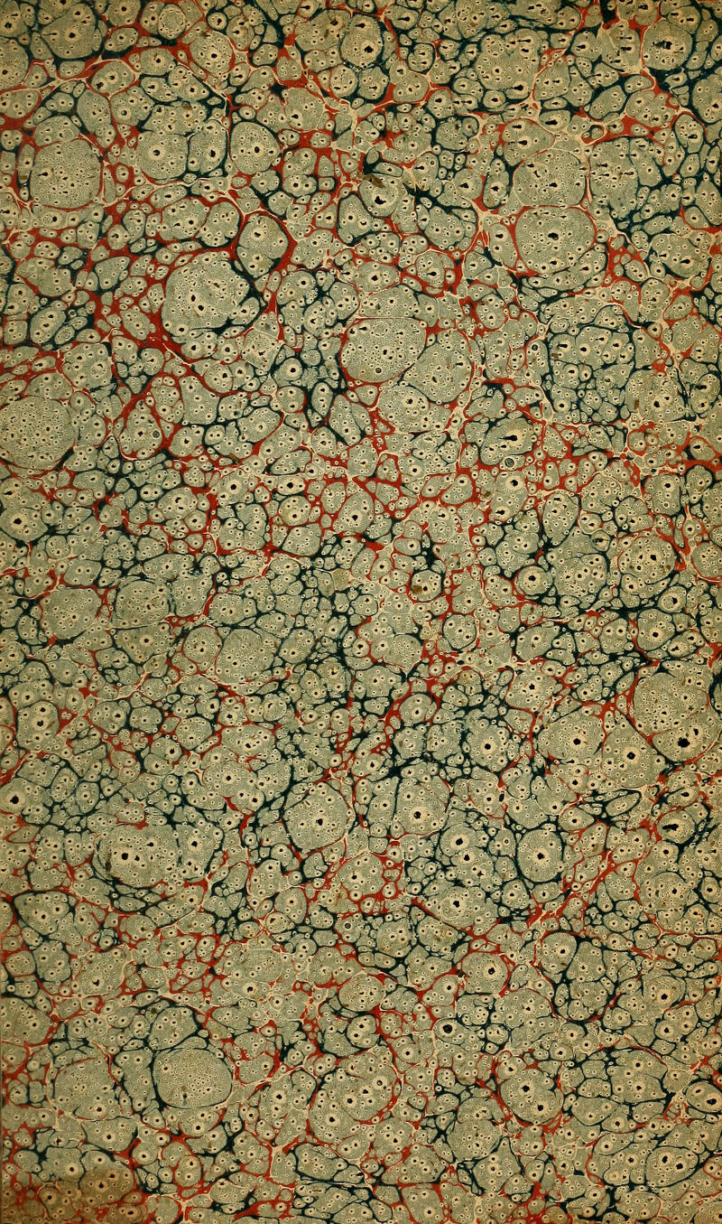 b^/ '^- ^'^ \>'y^ ' .^*u^ >'^ k^ ^v>- ' ^L'A, 'M^J'f\-9^:/--<'^'