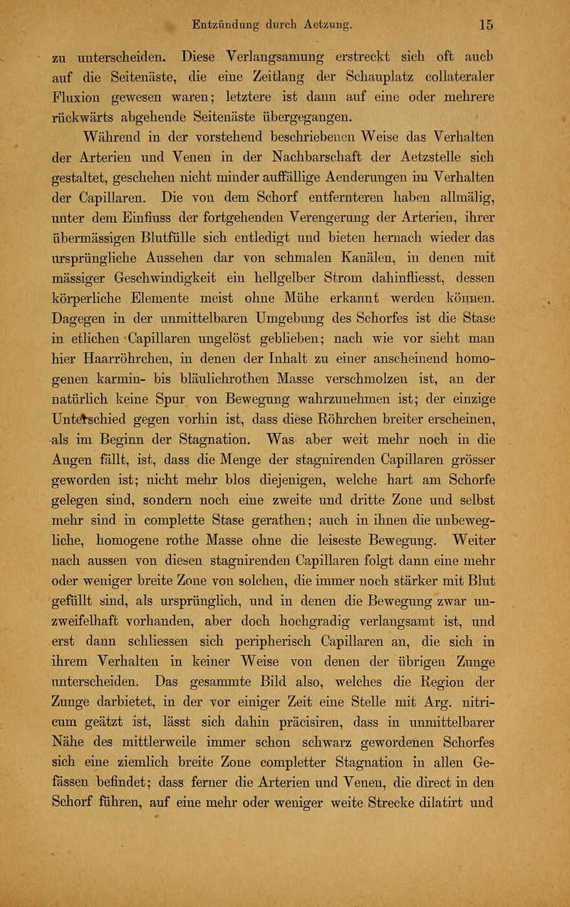 zu unterscheiden. Diese Verlangsamung erstreckt sich oft auch auf die Seitenäste, die eine Zeitlang der Schauplatz collateraler Fluxion gewesen waren; letztere ist dann auf eine oder mehrere rückwärts abgehende Seitenäste übergegangen. Während in der vorstehend beschriebenen Weise das Verhalten der Arterien und Venen in der Nachbarschaft der Aetzstelle sich gestaltet, geschehen nicht minder auffällige Aenderungen hn Verhalten der Capillaren. Die von dem Schorf entfernteren haben allmälig, unter dem Einfiuss der fortgehenden Verengerung der Arterien, ihrer übermässigen Blutfülle sich entledigt und bieten hernach wieder das ursprüngliche Aussehen dar von schmalen Kanälen, in denen mit massiger Geschwindigkeit ein hellgelber Strom dahinfliesst, dessen körperliche Elemente meist ohne Mühe erkannt werden können. Dagegen in der unmittelbaren Umgebung des Schorfes ist die Stase in etlichen Capillaren ungelöst geblieben; nach wie vor sieht man hier Haarröhrchen, in denen der Inhalt zu einer anscheinend homo- genen karmin- bis bläulichrothen Masse verschmolzen ist, an der natürlich keine Spur von Bewegung wahrzunehmen ist; der einzige Unterschied gegen vorhin ist, dass diese Röhrchen breiter erscheinen, als im Beginn der Stagnation. Was aber weit mehr noch in die Augen fällt, ist, dass die Menge der stagnirenden Capillaren grösser geworden ist; nicht mehr blos diejenigen, welche hart am Schorfe gelegen sind, sondern noch eine zweite und dritte Zone und selbst mehr sind in complette Stase gerathen; auch in ihnen die unbeweg- liche, homogene rothe Masse ohne die leiseste Bewegung. Weiter nach aussen von diesen stagnirenden Capillaren folgt dann eine mehr oder weniger breite Zone von solchen, die immer noch stärker mit Blut gefüllt sind, als ursprünglich, und in denen die Bewegung zwar un- zweifelhaft vorhanden, aber doch hochgradig verlangsamt ist, und erst dann schliessen sich peripherisch Capillaren an, die sich in ihrem Verhalten in keiner Weise von denen der übrigen Zunge unterscheiden. Das gesammte Bild also, welches die Region der Zunge darbietet, in der vor einiger Zeit eine Stelle mit Arg. nitri- cum geätzt ist, lässt sich dahin präcisiren, dass in unmittelbarer Nähe des mittlerweile immer schon schwarz gewordenen Schorfes sich eine ziemlich breite Zone completter Stagnation in allen Ge- fässen befindet; dass ferner die Arterien und Venen, die direct in den Schorf führen, auf eine mehr oder weniger weite Strecke dilatirt und