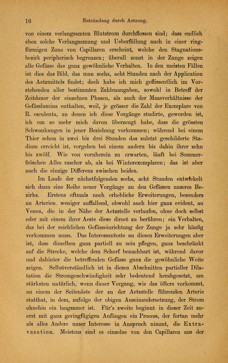 von einem verlangsamten Blutstrom durchflössen sind; dass endlich eben solche Verlangsamung und Ueberfüllung auch in einer ring- förmigen Zone von Capillaren erscheint, welche den Stagnations- bezirk peripherisch begrenzen; überall sonst in der Zunge zeigen alle Gefässe das ganz gewöhnliche Verhalten. In den meisten Fällen ist dies das Bild, das man sechs, acht Stunden nach der Application des Aetzmittels findet; doch habe ich mich geflissentlich im Vor- stehenden aller bestimmten Zahlenangaben, sowohl in Betreff der Zeitdauer der einzelnen Phasen, als auch der Maasverhältnisse der Gefässlumina enthalten, weil, je grösser die Zahl der Exemplare von R. esculenta, an denen ich diese Vorgänge studirte, geworden ist, ich um so mehr mich davon überzeugt habe, dass die grössten Schwankungen in jener Beziehung vorkommen; während bei einem Thier schon in zwei bis drei Stunden das zuletzt geschilderte Sta- dium erreicht ist, vergehen bei einem andern bis dahin ihrer zehn bis zwölf. Wie von vornherein zu erwarten, läuft bei Sommer- fröschen Alles rascher ab, als bei Winterexemplaren; das ist aber auch die einzige Differenz zwischen beiden. Im Laufe der nächstfolgenden sechs, acht Stunden entwickelt sich dann eine Reihe neuer Vorgänge an den Gefässen unseres Be- zirks. Erstens oftmals noch erhebliche Erweiterungen, besonders an Arterien, weniger auffallend, obwohl auch hier ganz evident, an Venen, die in der Nähe der Aetzstelle verlaufen, ohne doch selbst oder mit einem ihrer Aeste diese direct zu berühren; ein Verhalten, das bei der reichlichen Gefässeinrichtimg der Zunge ja sehr häufig vorkommen muss. Das Interessanteste an diesen Erweiterungen aber ist, dass dieselben ganz partiell zu sein pflegen, ganz beschränkt auf die Strecke, welche dem Schorf benachbart ist, während davor und dahinter die betreffenden Gefässe ganz die gewöhnliche Wreite zeigen. Selbstverständlich ist in diesen Abschnitten partieller Dila- tation die Stromgeschwindigkeit sehr bedeutend herabgesetzt, am stärksten natürlich, wenn dieser Vorgang, wie das öfters vorkommt, an einem der Seitenäste der zu der Aetzstelle führenden Arterie statthat, in dem, zufolge der obigen Auseinandersetzung, der Strom ohnehin ein langsamer ist. Für's zweite beginnt in dieser Zeit zu- erst mit ganz geringfügigen Anfängen ein Process, der fortan mehr als alles Andere unser Interesse in Anspruch nimmt, die Extra- vasaten. Meistens sind es einzelne von den Capillaren aus der