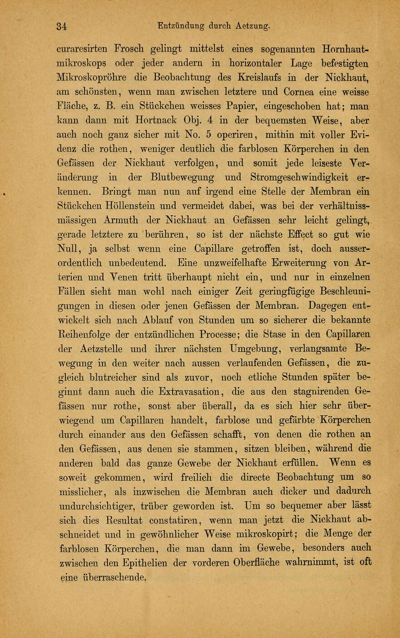 curaresirten Frosch gelingt mittelst eines sogenannten Hornhaut- mikroskops oder jeder andern in horizontaler Lage befestigten Mikroskopröhre die Beobachtung des Kreislaufs in der Nickhaut, am schönsten, wenn man zwischen letztere und Cornea eine weisse Fläche, z. B. ein Stückchen weisses Papier, eingeschoben hat; man kann dann mit Hortnack Obj. 4 in der bequemsten Weise, aber auch noch ganz sicher mit No. 5 operiren, mithin mit voller Evi- denz die rothen, weniger deutlich die farblosen Körperchen in den Gefässen der Nickhaut verfolgen, und somit jede leiseste Ver- änderung in der Blutbewegung und Stromgeschwindigkeit er- kennen. Bringt man nun auf irgend eine Stelle der Membran ein Stückchen Höllenstein und vermeidet dabei, was bei der verhältniss- mässigen Armuth der Nickhaut. an Gefässen sehr leicht gelingt, gerade letztere zu berühren, so ist der nächste Effect so gut wie Null, ja selbst wenn eine Capillare getroffen ist, doch ausser- ordentlich unbedeutend. Eine unzweifelhafte Erweiterung von Ar- terien und Yenen tritt überhaupt nicht ein, und nur in einzelnen Fällen sieht man wohl nach einiger Zeit geringfügige Beschleuni- gungen in diesen oder jenen Gefässen der Membran. Dagegen ent- wickelt sich nach Ablauf von Stunden um so sicherer die bekannte Reihenfolge der entzündlichen Processe; die Stase in den Capillaren der Aetzstelle und ihrer nächsten Umgebung, verlangsamte Be- wegung in den weiter nach aussen verlaufenden Gefässen, die zu- gleich blutreicher sind als zuvor, noch etliche Stunden später be- ginnt dann auch die Extravasation, die aus den stagnirenden Ge- fässen nur rothe, sonst aber überall, da es sich hier sehr über- wiegend um Capillaren handelt, farblose und gefärbte Körperchen durch einander aus den Gefässen schafft, von denen die rothen an den Gefässen, aus denen sie stammen, sitzen bleiben, während die anderen bald das ganze Gewebe der Nickhaut erfüllen. Wenn es soweit gekommen, wird freilich die directe Beobachtung um so misslicher, als inzwischen die Membran auch dicker und dadurch undurchsichtiger, trüber geworden ist. Um so bequemer aber lässt sich dies Resultat constatiren, wenn man jetzt die Nickhaut ab- schneidet und in gewöhnlicher Weise mikroskopirt; die Menge der farblosen Körperchen, die man dann im Gewebe, besonders auch zwischen den Epithelien der vorderen Oberfläche wahrnimmt, ist oft eine überraschende,