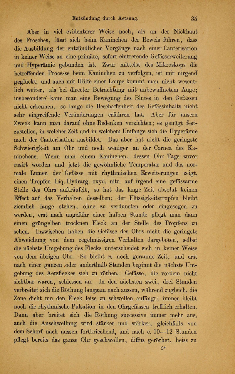 Aber in viel evidenterer Weise noch, als an der Nickhaut des Frosches, lässt sich beim Kaninchen der Beweis führen, dass die Ausbildung der entzündlichen Vorgänge nach einer Cauterisation in keiner Weise an eine primäre, sofort eintretende Gefässerweiterung und Hyperämie gebunden ist. Zwar mittelst des Mikroskops die betreffenden Processe beim Kaninchen zu verfolgen, ist mir nirgend geglückt, und auch mit Hülfe einer Loupe kommt man nicht wesent- lich weiter, als bei directer Betrachtung mit unbewaffnetem Auge; insbesondere kann man eine Bewegung des Blutes in den Gefässen nicht erkennen, so lange die Beschaffenheit des Gefässinhalts nicht sehr eingreifende Veränderungen erfahren hat. Aber für unsern Zweck kann man darauf ohne Bedenken verzichten; es genügt fest- zustellen, in welcher Zeit und in welchem Umfange sich die Hyperämie nach der Cauterisation ausbildet. Das aber hat nicht die geringste Schwierigkeit am Ohr und noch weniger an der Cornea des Ka- ninchens. Wenn man einem Kaninchen, dessen Ohr Tags zuvor rasirt worden und jetzt die gewöhnliche Temperatur und das nor- male Lumen der Gefässe mit rhythmischen Erweiterungen zeigt, einen Tropfen Liq. Hydrarg. oxyd. nitr. auf irgend eine gefässarme Stelle des Ohrs aufträufelt, so hat das lange Zeit absolut keinen Effect auf das Verhalten desselben; der Flüssigkeitstropfen bleibt ziemlich lange stehen, ohne zu verdunsten oder eingesogen zu werden, erst nach ungefähr einer halben Stunde pflegt man dann einen grüngelben trocknen Fleck an der Stelle des Tropfens zu sehen. Inzwischen haben die Gefässe des Ohrs nicht die geringste Abweichung von dem regelmässigen Verhalten dargeboten, selbst die nächste Umgebung des Flecks unterscheidet sich in keiner Weise von dem übrigen Ohr. So bleibt es noch geraume Zeit, und erst nach einer ganzen .oder anderthalb Stunden beginnt die nächste Um- gebung des Aetzfleckes sich zu röthen. Gefässe, die vordem nicht sichtbar waren, schiessen an. In den nächsten zwei, drei Stunden verbreitet sich die Röthung langsam nach aussen, während zugleich, die Zone dicht um den Fleck leise zu schwellen anfängt; immer bleibt noch die rhythmische Pulsation in den Ohrgefässen trefflich erhalten. Dann aber breitet sich die Röthung successive immer mehr aus, auch die Anschwellung wird stärker und stärker, gleichfalls von dem Schorf nach aussen fortkriechend, und nach c. 10—12 Stunden pflegt bereits das ganze Ohr geschwollen, diffus geröthet, heiss zu 3*