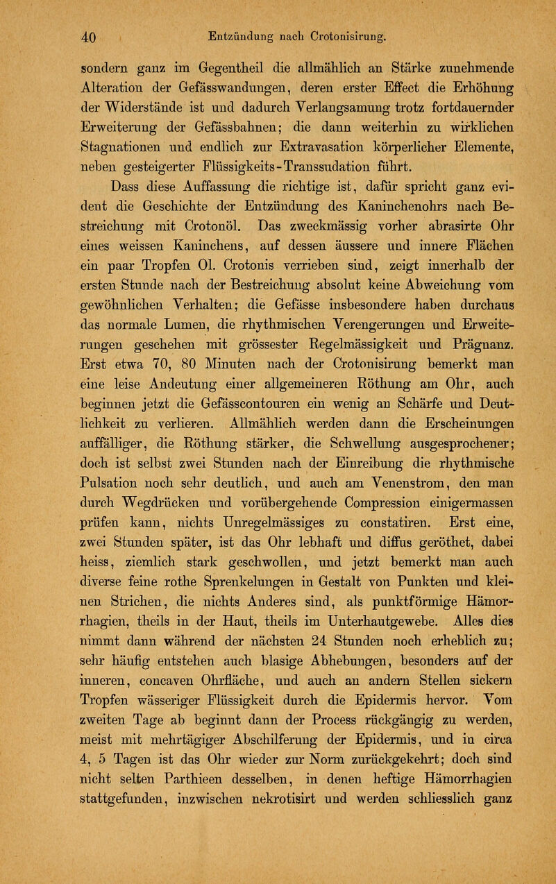 sondern ganz im Gegentheil die allmählich an Stärke zunehmende Alteration der Gefässwandungen, deren erster Effect die Erhöhung der Widerstände ist und dadurch Verlangsamung trotz fortdauernder Erweiterung der Gefässbahnen; die dann weiterhin zu wirklichen Stagnationen und endlich zur Extravasation körperlicher Elemente, neben gesteigerter Müssigkeits-Transsudation führt. Dass diese Auffassung die richtige ist, dafür spricht ganz evi- dent die Geschichte der Entzündung des Kaninchenohrs nach Be- streichung mit Crotonöl. Das zweckmässig vorher abrasirte Ohr eines weissen Kaninchens, auf dessen äussere und innere Flächen ein paar Tropfen Ol. Crotonis verrieben sind, zeigt innerhalb der ersten Stunde nach der Bestreichung absolut keine Abweichung vom gewöhnlichen Verhalten; die Gefässe insbesondere haben durchaus das normale Lumen, die rhythmischen Verengerungen und Erweite- rungen geschehen mit grossester Regelmässigkeit und Prägnanz. Erst etwa 70, 80 Minuten nach der Crotonisirung bemerkt man eine leise Andeutung einer allgemeineren Röthung am Ohr, auch beginnen jetzt die Gefässcontouren ein wenig an Schärfe und Deut- lichkeit zu verlieren. Allmählich werden dann die Erscheinungen auffälliger, die Röthung stärker, die Schwellung ausgesprochener; doch ist selbst zwei Stunden nach der Einreibung die rhythmische Pulsation noch sehr deutlich, und auch am Venenstrom, den man durch Wegdrücken und vorübergehende Compression einigermassen prüfen kann, nichts Unregelmässiges zu constatiren. Erst eine, zwei Stunden später, ist das Ohr lebhaft und diffus geröthet, dabei heiss, ziemlich stark geschwollen, und jetzt bemerkt man auch diverse feine rothe Sprenkelungen in Gestalt von Punkten und klei- nen Strichen, die nichts Anderes sind, als punktförmige Hämor- rhagien, theils in der Haut, theils im Unterhautgewebe. Alles dies nimmt dann während der nächsten 24 Stunden noch erheblich zu; sehr häufig entstehen auch blasige Abhebungen, besonders auf der inneren, concaven Ohrfläche, und auch an andern Stellen sickern Tropfen wässeriger Flüssigkeit durch die Epidermis hervor. Vom zweiten Tage ab beginnt dann der Process rückgängig zu werden, meist mit mehrtägiger Abschilferung der Epidermis, und in circa 4, 5 Tagen ist das Ohr wieder zur Norm zurückgekehrt; doch sind nicht selten Parthieen desselben, in denen heftige Hämorrhagien stattgefunden, inzwischen nekrotisirt und werden schliesslich ganz