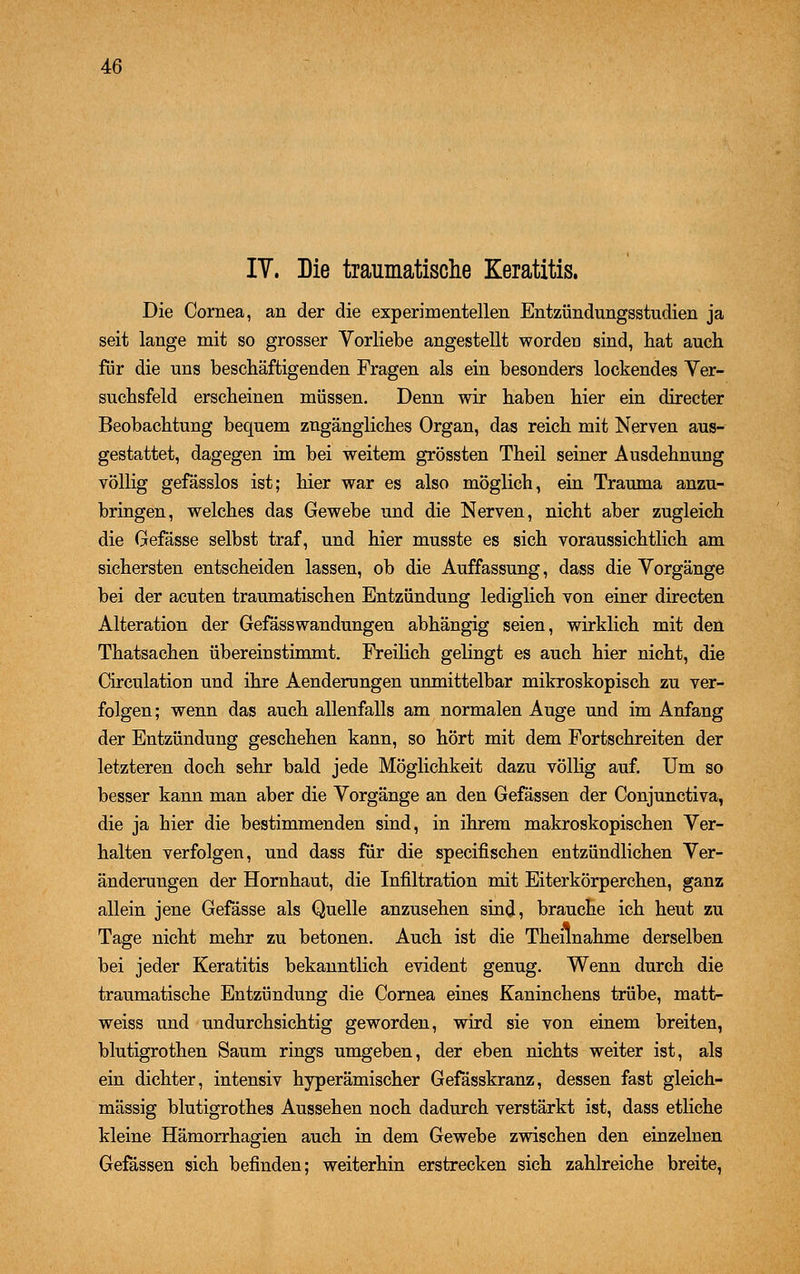 IV. Die traumatische Keratitis. Die Cornea, an der die experimentellen Entzündungsstudien ja seit lange mit so grosser Vorliebe angestellt worden sind, hat auch für die uns beschäftigenden Fragen als ein besonders lockendes Ver- suchsfeld erscheinen müssen. Denn wir haben hier ein directer Beobachtung bequem zugängliches Organ, das reich mit Nerven aus- gestattet, dagegen im bei weitem grössten Theil seiner Ausdehnung völlig gefässlos ist; hier war es also möglich, ein Trauma anzu- bringen, welches das Gewebe und die Nerven, nicht aber zugleich die Gefässe selbst traf, und hier musste es sich voraussichtlich am sichersten entscheiden lassen, ob die Auffassung, dass die Vorgänge bei der acuten traumatischen Entzündung lediglich von einer directen Alteration der GefässWandungen abhängig seien, wirklich mit den Thatsachen übereinstimmt. Freilich gelingt es auch hier nicht, die Circulation und ihre Aenderungen unmittelbar mikroskopisch zu ver- folgen; wenn das auch allenfalls am normalen Auge und im Anfang der Entzündung geschehen kann, so hört mit dem Fortschreiten der letzteren doch sehr bald jede Möglichkeit dazu völlig auf. Um so besser kann man aber die Vorgänge an den Gefässen der Conjunctiva, die ja hier die bestimmenden sind, in ihrem makroskopischen Ver- halten verfolgen, und dass für die specifischen entzündlichen Ver- änderungen der Hornhaut, die Infiltration mit Eiterkörperchen, ganz allein jene Gefässe als Quelle anzusehen sind, brauche ich heut zu Tage nicht mehr zu betonen. Auch ist die Theilnahme derselben bei jeder Keratitis bekanntlich evident genug. Wenn durch die traumatische Entzündung die Cornea eines Kaninchens trübe, matt- weiss und undurchsichtig geworden, wird sie von einem breiten, blutigrothen Saum rings umgeben, der eben nichts weiter ist, als ein dichter, intensiv hyperämischer Gefässkranz, dessen fast gleich- massig blutigrothes Aussehen noch dadurch verstärkt ist, dass etliche kleine Hämorrhagien auch in dem Gewebe zwischen den einzelnen Gefässen sich befinden; weiterhin erstrecken sich zahlreiche breite,