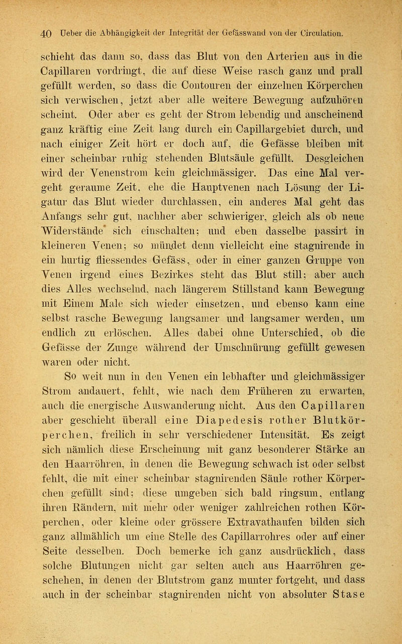 schient das dann so, dass das Blut von den Arterien aus in die Capillaren vordringt, die auf diese Weise rasch ganz und prall gefüllt werden, so dass die Contouren der einzelnen Körperchen sich verwischen, jetzt aber alle weitere Bewegung aufzuhören scheint. Oder aber es geht der Strom lebendig und anscheinend ganz kräftig eine Zeit lang durch ein Capillargebiet durch, und nach einiger Zeit hört er doch auf, die Gefässe bleiben mit einer scheinbar ruhig stehenden Blutsäule gefüllt. Desgleichen wird der Venenstrom kein gleichmässiger. Das eine Mal ver- geht geraume Zeit, ehe die Hauptvenen nach Lösung der Li- gatur das Blut wieder durchlassen, ein anderes Mal geht das Anfangs sehr gut, nachher aber schwieriger, gleich als ob neue Widerstände' sich einschalten; und eben dasselbe passirt in kleineren Venen; so mündet denn vielleicht eine stagnirende in ein hurtig fliessendes Gefäss, oder in einer ganzen Gruppe von Venen irgend eines Bezirkes steht das Blut still; aber auch dies Alles wechselnd, nach längerem Stillstand kann Bewegung mit Einem Male sich wieder einsetzen, und ebenso kann eine selbst rasche Bewegung langsamer und langsamer werden, um endlich zu erlöschen. Alles dabei ohne Unterschied, ob die Gefässe der Zunge während der Umschnürung gefüllt gewesen waren oder nicht. So weit nun in den Venen ein lebhafter und gleichmässiger Strom andauert, fehlt, wie nach dem Früheren zu erwarten, auch die energische Auswanderung nicht. Aus den Capillaren aber geschieht überall eine Diapedesis rother Blutkör- perchen, freilich in sehr verschiedener Intensität. Es zeigt sich nämlich diese Erscheinung mit ganz besonderer Stärke an den Haarröhren, in denen die Bewegung schwach ist oder selbst fehlt, die mit einer scheinbar stagnirenden Säule rother Körper- chen gefüllt sind; diese umgeben sich bald ringsum, entlang ihren Rändern, mit mehr oder weniger zahlreichen rothen Kör- perchen, oder kleine oder grössere Extravathaufen bilden sich ganz allmählich um eine Stelle des Capillarrohres oder auf einer Seite desselben. Doch bemerke ich ganz ausdrücklich, dass solche Blutungen nicht gar selten auch aus Haarröhren ge- schehen, in denen der Blutstrom ganz munter fortgeht, und dass auch in der scheinbar stagnirenden nicht von absoluter Stase