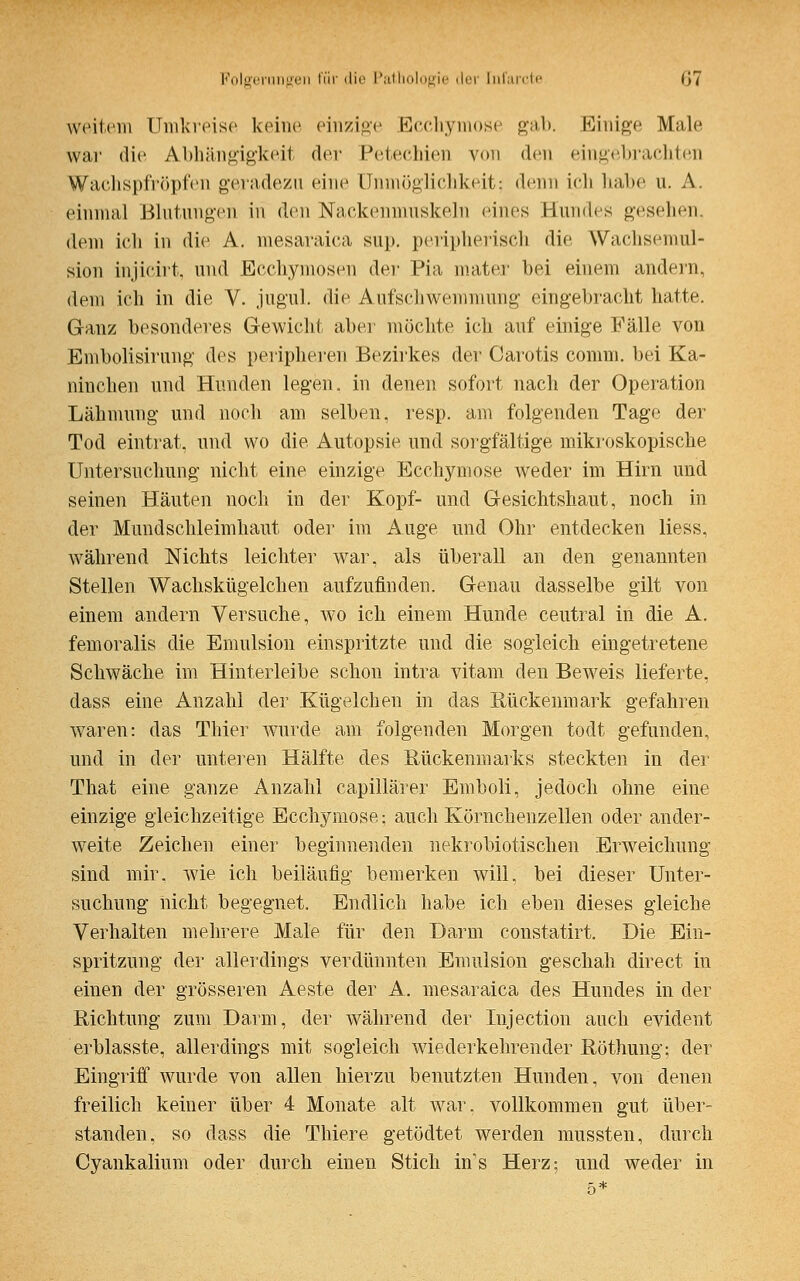 weitem Umkreise keine einzige Ecchymose gab. Einige Male war die Abhängigkeil der Petechien von den eingebrachten Wachspfröpfen geradezu eine Unmöglichkeit; denn ich habe u. A. einmal Blutungen in den Nackenmuskeln eines Hundes gesehen, dem ich in die A. mesaraica sup. peripherisch die Wachsemul- sion injicirt, und Bcchymosen der Pia mater bei einem andern, dem ich in die V. jugul. die Aufschwemmung eingebracht hatte. Ganz besonderes Gewicht aber möchte ich auf einige Fälle von Embolisirung des peripheren Bezirkes der Carotis connn. bei Ka- ninchen und Hunden legen, in denen sofort nach der Operation Lähmung und noch am selben, resp. am folgenden Tage der Tod eintrat, und wo die Autopsie und sorgfältige mikroskopische Untersuchung nicht eine einzige Ecchymose weder im Hirn und seinen Häuten noch in der Kopf- und Gesichtshaut, noch in der Mundschleimhaut oder im Auge und Ohr entdecken Hess, während Nichts leichter war, als überall an den genannten Stellen Wachskügelchen aufzufinden. Genau dasselbe gilt von einem andern Versuche, wo ich einem Hunde ceutral in die A. femoralis die Emulsion einspritzte und die sogleich eingetretene Schwäche im Hinterleibe schon intra vitam den Beweis lieferte, dass eine Anzahl der Kügelchen in das Rückenmark gefahren waren: das Thier wurde am folgenden Morgen todt gefunden, und in der unteren Hälfte des Rückenmarks steckten in der That eine ganze Anzahl capillärer Emboli, jedoch ohne eine einzige gleichzeitige Ecchymose; auch Körnchenzellen oder ander- weite Zeichen einer beginnenden nekrobiotischen Erweichung sind mir. wie ich beiläufig bemerken will, bei dieser Unter- suchung nicht begegnet. Endlich habe ich eben dieses gleiche Verhalten mehrere Male für den Darm constatirt. Die Ein- spritzung der allerdings verdünnten Emulsion geschah direct in einen der grösseren Aeste der A. mesaraica des Hundes in der Richtung zum Darm, der während der Injection auch evident erblasste, allerdings mit sogleich wiederkehrender Röthung; der Eingriff wurde von allen hierzu benutzten Hunden, von denen freilich keiner über 4 Monate alt war. vollkommen gut über- standen, so dass die Thiere getödtet werden mussten, durch Cyankalium oder durch einen Stich ms Herz; und weder in
