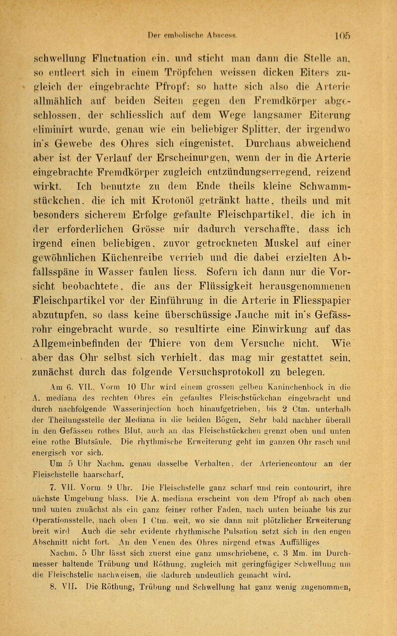 Schwellung Fluktuation ein. und sticht mau dann die Stelle an. so entleert sich in einem Tröpfchen weissen dicken Eiters zu- gleich der eingebrachte Pfropf: so hatte sich also die Arterie allmählich auf beiden Seiten gegen den Fremdkörper abg< - schlössen, der schliesslich auf dem Wege langsamer Eiterung eliminirt wurde, genau wie ein beliebiger Splitter, der irgendwo ins Gewebe des Ohres sich eingenistet. Durchaus abweichend aber ist der Verlauf der Erscheinungen, wenn der in die Arterie eingebrachte Fremdkörper zugleich entzündungserregend, reizend wirkt. Ich benutzte zu dem Ende theils kleine Schwamm- stückchen, die ich mit Krotonöl getränkt hatte, theils und mit besonders sicherem Erfolge gefaulte Fleischpartikel, die ich in der erforderlichen Grösse mir dadurch verschatfte. dass ich irgend einen beliebigen, zuvor getrockneten Muskel auf einer gewöhnlichen Küchenreibe verrieb und die dabei erzielten Ab- fallsspäne in Wasser faulen Hess. Sofern ich dann nur die Vor- sicht beobachtete, die aus der Flüssigkeit herausgenommenen Fleischpartikel vor der Einführung in die Arterie in Fliesspapier abzutupfen, so dass keine überschüssige Jauche mit ins Gefäss- rohr eingebracht wurde, so resultirte eine Einwirkung auf das Allgemeinbefinden der Thiere von dem Versuche nicht. Wie aber das Ohr selbst sich verhielt, das mag mir gestattet sein, zunächst durch das folgende Versuchsprotokoll zu belegen. Am 6. VII., Vorm 10 Uhr wird einem grossen gelben Kaninchenbock in die A. mediana des rechten Ohres ein gefaultes Fleisc.bstückchan eingebracht und durch nachfolgende Wasserinjection hoch hinaufgetrieben, bis 2 Ctm. unterhalb der Theilungsstelle der Mediana in die beiden Bögen. Sehr bald nachher überall in den Gefässeu rothes Blut, auch an das Fleischstückchen grenzt oben und unten eine rothe Blutsäule. Die rhythmische Erweiterung geht im ganzen Ohr rasch und energisch vor sich. Um 5 Uhr Nachm. genau dasselbe Verhalten, der Arteriencontour an der Fleischstelle haarscharf. 7. VII. Vorm. 9 Uhr. Die Fleischstelle ganz scharf und rein contourirt, ihre nächste Umgebung blass. Die A. mediana erscheint von dem Pfropf ab nach oben und unten zunächst als ein ganz feiner rother Faden, nach unten beinahe bis zur Operationsstelle, nach oben 1 Ctm. weit, wo sie dann mit plötzlicher Erweiterung breit wird Auch die sehr evidente rhythmische Pulsation setzt sich in den engen Abschnitt nicht fort. An den Venen des Ohres nirgend etwas Auffälliges Nachm. 5 Uhr lässt sich zuerst eine ganz umschriebene, c. 3 Mm. im Durch- messer haltende Trübung und Röthung, zugleich mit geringfügiger Schwellung um die Fleischstelle nachweisen, die dadurch undeutlich gemacht wird. 8. VII. Die Röthung, Trübung und Schwellung hat ganz wenig zugenommen,