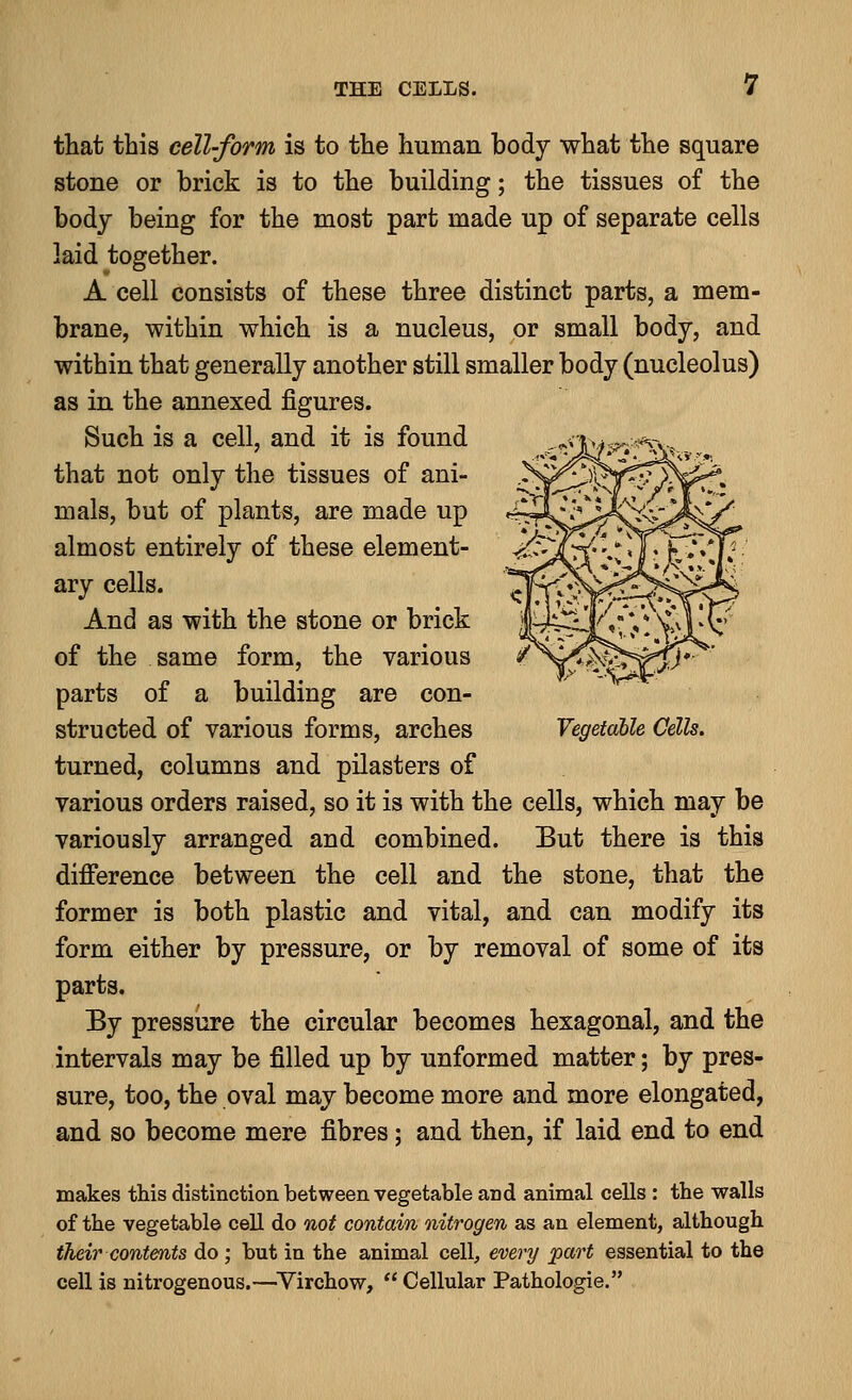 that this cell-form is to the human body what the square stone or brick is to the building; the tissues of the body being for the most part made up of separate cells laid together. A cell consists of these three distinct parts, a mem- brane, within which is a nucleus, or small body, and within that generally another still smaller body (nucleolus) as in the annexed figures. Such is a cell, and it is found that not only the tissues of ani- mals, but of plants, are made up almost entirely of these element- ary cells. And as with the stone or brick of the same form, the various parts of a building are con- structed of various forms, arches Vegetable Cells. turned, columns and pilasters of various orders raised, so it is with the cells, which may be variously arranged and combined. But there is this difference between the cell and the stone, that the former is both plastic and vital, and can modify its form either by pressure, or by removal of some of its parts. By pressure the circular becomes hexagonal, and the intervals may be filled up by unformed matter; by pres- sure, too, the oval may become more and more elongated, and so become mere fibres; and then, if laid end to end makes this distinction between vegetable and animal cells : the walls of the vegetable cell do not contain nitrogen as an element, although their contents do ; but in the animal cell, every part essential to the cell is nitrogenous.—Virchow,  Cellular Pathologie.