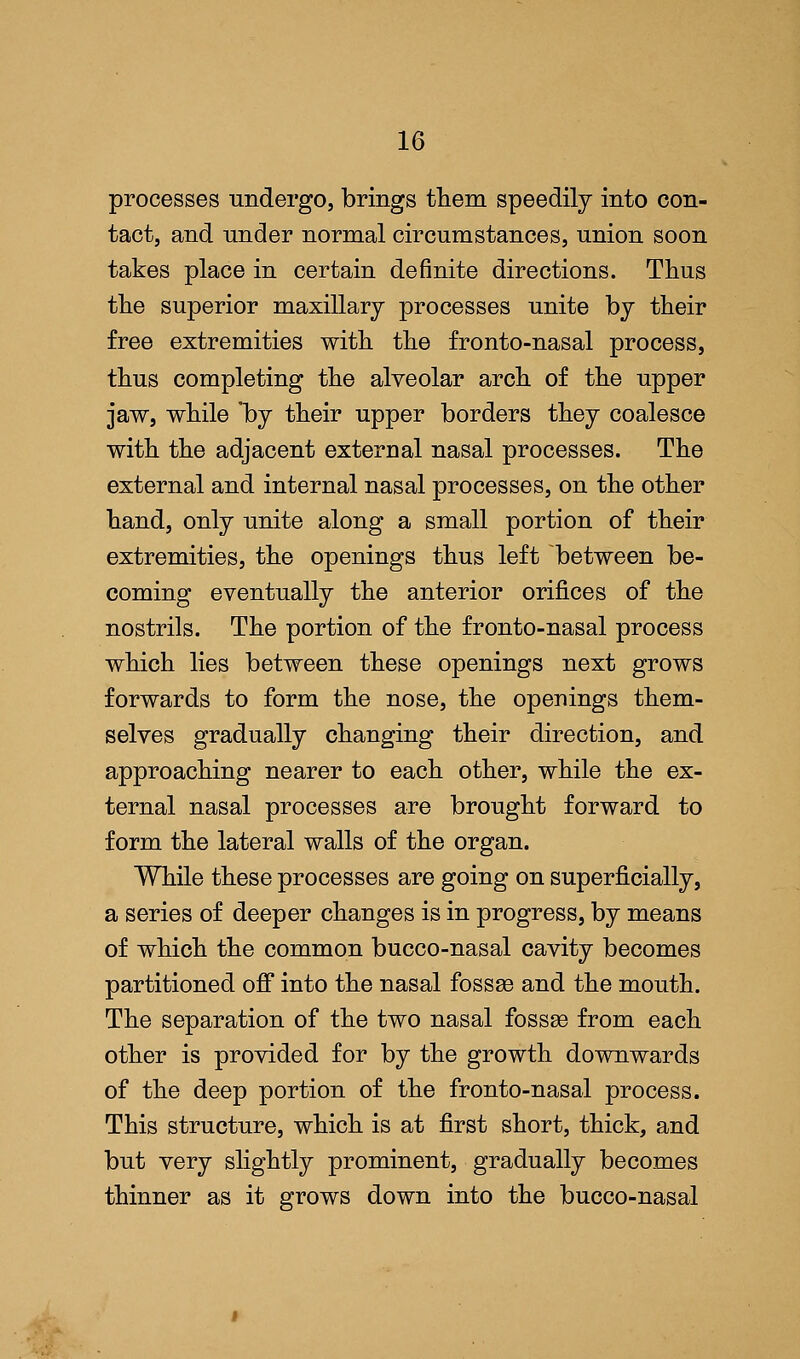 processes undergo, brings them speedily into con- tact, and under normal circumstances, union soon takes place in certain definite directions. Thus the superior maxillary processes unite by their free extremities with the fronto-nasal process, thus completing the alveolar arch of the upper jaw, while 'by their upper borders they coalesce with the adjacent external nasal processes. The external and internal nasal processes, on the other hand, only unite along a small portion of their extremities, the openings thus left between be- coming eventually the anterior orifices of the nostrils. The portion of the fronto-nasal process which lies between these openings next grows forwards to form the nose, the openings them- selves gradually changing their direction, and approaching nearer to each other, while the ex- ternal nasal processes are brought forward to form the lateral walls of the organ. While these processes are going on superficially, a series of deeper changes is in progress, by means of which the common bucco-nasal cavity becomes partitioned off into the nasal fossae and the mouth. The separation of the two nasal fossse from each other is provided for by the growth downwards of the deep portion of the fronto-nasal process. This structure, which is at first short, thick, and but very slightly prominent, gradually becomes thinner as it grows down into the bucco-nasal