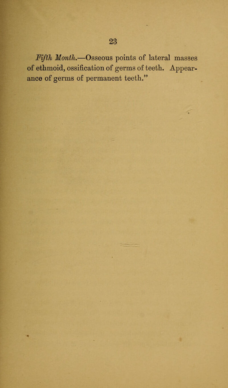 Fifth Month.—Osseous points of lateral masses of ethmoid, ossification of germs of teeth. Appear- ance of germs of permanent teeth.
