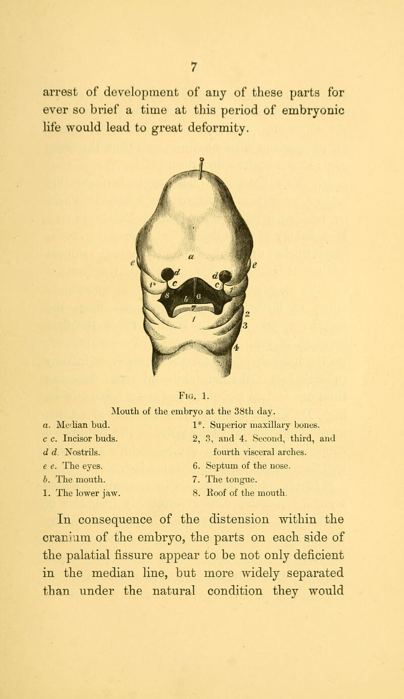 arrest of development of any of these parts for ever so brief a time at this period of embryonic life would lead to great deformity. Fig. 1. Mouth of the embryo at the 38th day. a. Median bud. 1*. Superior maxillary bones. c c. Incisor buds. 2, 3, and 4. Second, third, and d d. Nostrils. e e. The eyes. b. The mouth. 1. The lower jaw. fourth visceral arches. 6. Septum of the nose. 7. The tongue. 8. Roof of the mouth. In consequence of the distension within the cranium of the embryo, the parts on each side of the palatial fissure appear to be not only deficient in the median line, but more widely separated than under the natural condition they would