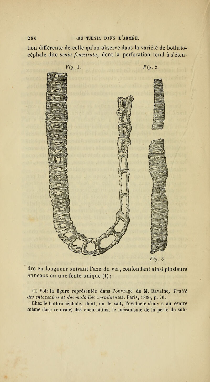 tion différente de celle qu'on observe dans la variété de bothrio- céphale dite tœnia fenestrata, dont la perforation tend à s'éten- Fig. 1. Fig. 2. dre en longueur suivant l'axe du ver, confondant ainsi plusieurs anneaux en une fente unique (1) ; (1) Voir la figure représentée dans l'ouvrage de M. Davaine, Traité des entozoaires et des maladies vermineuses. Paris, 18C0, p. 76. Chez le bothriocéphalf, dont, on le sait, l'oviducte s'ouvre au centre même (face ventrale) des cucurbitins, le mécanisme de la perte de sub-