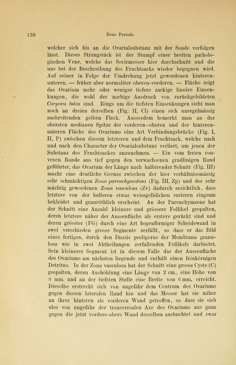 welcher sich bis an die Ovarialsubstanz mit der Sonde verfolgen lässt. Dieses Strangstück ist der Stumpf einer breiten patholo- gischen Vene, welche das Secirmesser hier durchschnitt und die uns bei der Beschreibung des Fruchtsacks wieder begegnen wird. Auf seiner in Folge der Umdrehung jetzt gewordenen hinteren- unteren, — früher aber normaliter oberen-vorderen, — Fläche zeigt das Ovarium mehr oder weniger tiefere zackige lineare Einsen- kungen, die wohl der narbige Ausdruck von zurückgebildeten Corpora lutea sind. Rings um die tiefsten Einsenkungen sieht man noch an dreien derselben (Fig.- II, Cl) einen sich unregelmässig ausbreitenden gelben Fleck. Ausserdem bemerkt man an der obersten medianen Spitze der vorderen-oberen und der hinteren- unteren Fläche des Ovariums eine Art Verbindungsbrücke (Fig. I, II, P) zwischen diesem letzteren und dem Fruchtsack, welche nach und nach den Character der Ovarialsubstanz verliert, um jenen der Substanz des Fruchtsackes anzunehmen. — Ein vom freien con- vexen Rande aus tief gegen den verwachsenen gradlinigen Rand geführter, das Ovarium der Länge nach halbirender Schnitt (Fig. III) macht eine deutliche Grenze zwischen der hier verhältnissmässig sehr schmächtigen Zona parenchymatosa (Fig. III, Zp) und der sehr mächtig gewordenen Zona vasculosa (Zv) dadurch ersichtlich, dass letztere von der helleren etwas weissgelblichen ersteren ringsum bekleidet und grauröthlich erscheint. An der Parenchymzone hat der Schnitt eine Anzahl kleinere und grössere Follikel gespalten, deren letztere näher der Aussenfläche als erstere gerückt sind und deren grösster (FG) durch eine Art bogenförmiger Scheidewand in zwei verschieden grosse Segmente zerfällt, so dass er das Bild eines fertigen, durch den Discüs proligerus der Membrana granu- losa wie in zwei Abtheilungen zerfallenden Follikels darbietet. Sein kleineres Segment ist in diesem Falle das der Aussenfläche des Ovariums am nächsten liegende und enthält einen feinkörnigen Detritus. In der Zona vasculosa hat der Schnitt eine grosse Cyste (C) gespalten, deren Aushöhlung eine Länge von 2 cm., eine Höhe von 8 mm. und an der tiefsten Stelle eine Breite von 6 mm. erreicht. Dieselbe erstreckt sich von ungefähr dem Centrum des Ovariums gegen dessen lateralen Rand hin und das Messer hat sie näher an ihrer hinteren als vorderen Wand getroffen, so dass sie sich also von ungefähr der transversalen Axe des Ovariums aus ganz gegen die jetzt vordere-obere Wand desselben ausbuchtet und zwar