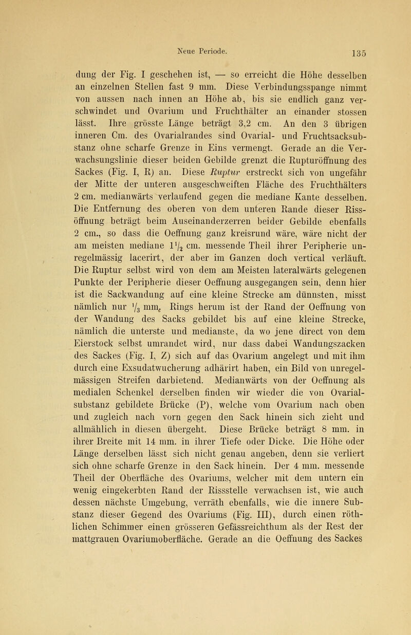 dung der Fig. I geschehen ist, — so erreicht die Höhe desselben an einzelnen Stellen fast 9 mm. Diese Verbindungsspange nimmt von aussen nach innen an Höhe ab, bis sie endlich ganz ver- schwindet und Ovarium und Fruchthälter an einander stossen lässt. Ihre grösste Länge beträgt 3,2 cm. An den 3 übrigen inneren Cm. des Ovarialrandes sind Ovarial- und Fruchtsacksub- stanz ohne scharfe Grenze in Eins vermengt. Gerade an die Ver- wachsungslinie dieser beiden Gebilde grenzt die Rupturöffnung des Sackes (Fig. I, R) an. Diese Ruptur erstreckt sich von ungefähr der Mitte der unteren ausgeschweiften Fläche des Fruchthälters 2 cm. medianwärts verlaufend gegen die mediane Kante desselben. Die Entfernung des oberen von dem unteren Rande dieser Riss- öffnung beträgt beim Auseinanderzerren beider Gebilde ebenfalls 2 cm., so dass die Oeffnung ganz kreisrund wäre, wäre nicht der am meisten mediane l1^ cm. messende Theil ihrer Peripherie un- regelmässig lacerirt, der aber im Ganzen doch vertical verläuft. Die Ruptur selbst wird von dem am Meisten lateralwärts gelegenen Punkte der Peripherie dieser Oeffnung ausgegangen sein, denn hier ist die Sackwandung auf eine kleine Strecke am dünnsten, misst nämlich nur '/3 mm,. Rings herum ist der Rand der Oeffnung von der Wandung des Sacks gebildet bis auf eine kleine Strecke, nämlich die unterste und medianste, da wo jene direct von dem Eierstock selbst umrandet wird, nur dass dabei Wandungszacken des Sackes (Fig. I, Z) sich auf das Ovarium angelegt und mit ihm durch eine Exsudatwucherung adhärirt haben, ein Bild von unregel- mässigen Streifen darbietend. Medianwärts von der Oeffnung als medialen Schenkel derselben finden wir wieder die von Ovarial- substanz gebildete Brücke (P), welche vom Ovarium nach oben und zugleich nach vorn gegen den Sack hinein sich zieht und allmählich in diesen übergeht. Diese Brücke beträgt 8 mm. in ihrer Breite mit 14 mm. in ihrer Tiefe oder Dicke. Die Höhe oder Länge derselben lässt sich nicht genau angeben, denn sie verliert sich ohne scharfe Grenze in den Sack hinein. Der 4 mm. messende Theil der Oberfläche des Ovariums, welcher mit dem untern ein wenig eingekerbten Rand der Rissstelle verwachsen ist, wie auch dessen nächste Umgebung, verräth ebenfalls, wie die innere Sub- stanz dieser Gegend des Ovariums (Fig. III), durch einen röth- lichen Schimmer einen grösseren Gefässreichthum als der Rest der mattgrauen Ovariumoberfläche. Gerade an die Oeffnung des Sackes