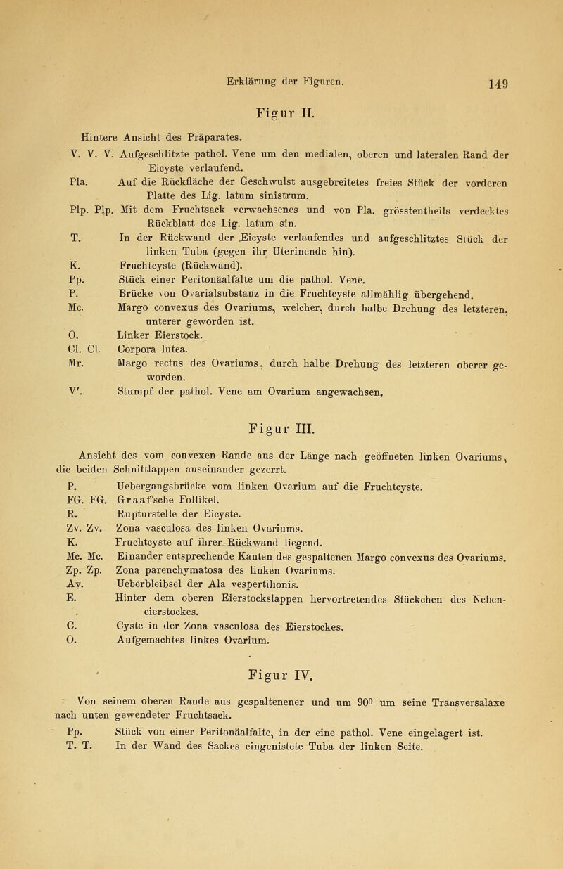 Figur IL Hintere Ansicht des Präparates. V. V. V. Aufgeschlitzte pathol. Vene um den medialen, oberen und lateralen Rand der Eicyste Terlaufend. Pia. Auf die Rückfläche der Geschwulst ausgebreitetes freies Stück der vorderen Platte des Lig. latum sinistrum. Plp. Plp. Mit dem Fruchtsack verwachsenes und von Pia. grösstentheils verdecktes Rückblatt des Lig. latum sin. T. In der Rückwand der .Eicyste verlaufendes und aufgeschlitztes Siück der linken Tuba (gegen ihr Uterinende hin). K. Fruchtcyste (Rückwand). Pp. Stück einer Peritonäalfalte um die pathol. Vene. P. Brücke von OvarialSubstanz in die Fruchtcyste allmählig übergehend. Mc. Margo convexus des Ovariums, welcher, durch halbe Drehung des letzteren, unterer geworden ist. 0. Linker Eierstock. Cl. Cl. Corpora lutea. Mr. Margo rectus des Ovariums, durch halbe Drehung des letzteren oberer ge- worden. V. Stumpf der pathol. Vene am Ovarium angewachsen. Figur III. Ansicht des vom convexen Rande aus der Länge nach geöffneten linken Ovariums, die beiden Schnittlappen auseinander gezerrt. P. Uebergangsbrücke vom linken Ovarium auf die Fruchtcyste. FG. FG. Graafsche Follikel. Rupturstelle der Eicyste. Zona vasculosa des linken Ovariums. Fruchtcyste auf ihrer Rückwand liegend. Einander entsprechende Kanten des gespaltenen Margo convexus des Ovariums. Zona parenchymatosa des linken Ovariums. Ueberbleibsel der Ala vespertilionis. Hinter dem oberen Eierstockslappen hervortretendes Stückchen des Neben- eierstockes. Cyste in der Zona vasculosa des Eierstockes. Aufgemachtes linkes Ovarium. Figur IV. Von seinem oberen Rande aus gespaltenener und um 90 um seine Transversalaxe nach unten gewendeter Fruchtsack. Pp. Stück von einer Peritonäalfalte, in der eine pathol. Vene eingelagert ist. T. T. In der Wand des Sackes eingenistete Tuba der linken Seite. R. Zv. Zv. K. Mc. Mc. Zp. Zp. Av. E. C. 0.