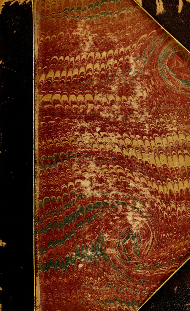 No text description is available for this image