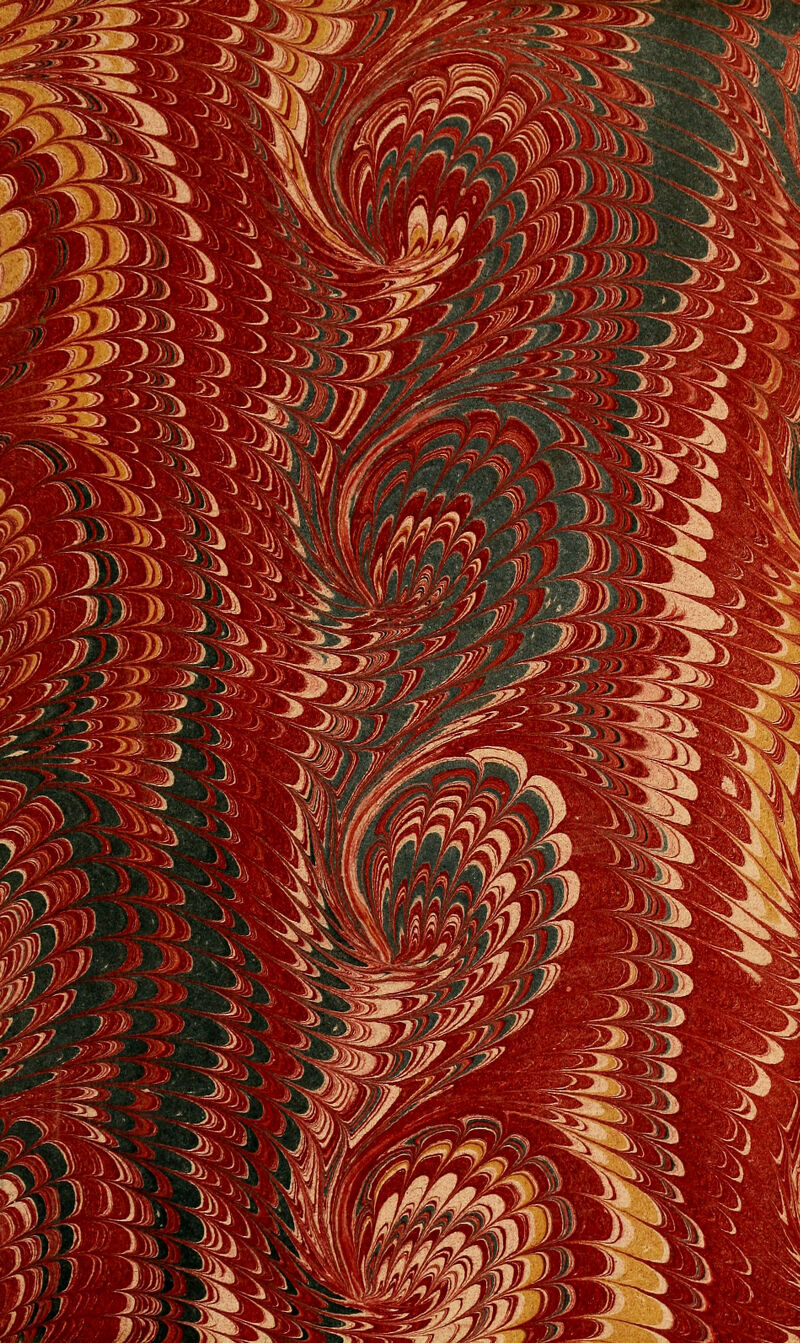 ■?> 'm^ 1n^n' ^-^x'-^ WMM^^}^ W'^ i'',.-^,,;^!!^ : -«j\ -i'^^^^x^^/)^ ^^ Fy# ;^ivl