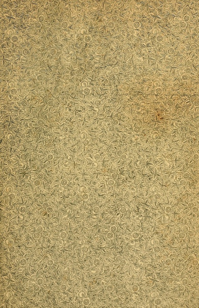 No text description is available for this image