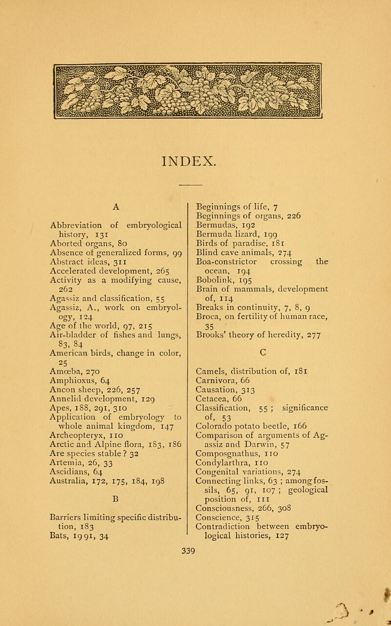 INDEX. Abbreviation of embryological history, 131 Aborted organs, 80 Absence of generalized forms, 99 Abstract ideas, 311 Accelerated development, 265 Activity as a modifying cause, 262 Agassiz and classification, 55 Agassiz, A., work on embryol- ogy, 124 Age of the world, 97, 215 Air-bladder of fishes and lungs, 83,84 American birds, change in color, 25 Amoeba, 270 Amphioxus, 64 Ancon sheep, 226, 257 Annelid development, 129 Apes, 188, 291, 310 Application of embryology to whole animal kingdom, 147 Archeopteryx, no Arctic and Alpine flora, 1S3, t86 Are species stable ? 32 Artemia, 26, 33 Ascidians, 64 Australia, 172, 175, 184, 198 B Barriers limiting specific distribu- tion, 183 Bats, 1991, 34 Beginnings of life, 7 Beginnings of organs, 226 Bermudas, 192 Bermuda lizard, igg Birds of paradise, 181 Blind cave animals, 274 Boa-constrictor crossing the ocean, 194 Bobolink, 195 Brain of mammals, development of, 114 Breaks in continuity, 7, 8, g Broca, on fertility of human race, 35 Brooks' theory of heredity, 277 Camels, distribution of, 181 Carnivora, 66 Causation, 313 Cetacea, 66 Classification, 55 ; significance of, 53 Colorado potato beetle, 166 Comparison of arguments of Ag- assiz and Darwin, 57 Composgnathus, no Condylarthra, no Congenital variations, 274 Connecting links, 63 ; among fos- sils, 65, 91, 107 ; geological position of, in Consciousness, 266, 30S Conscience, 315 Contradiction between embryo- logical histories, 127