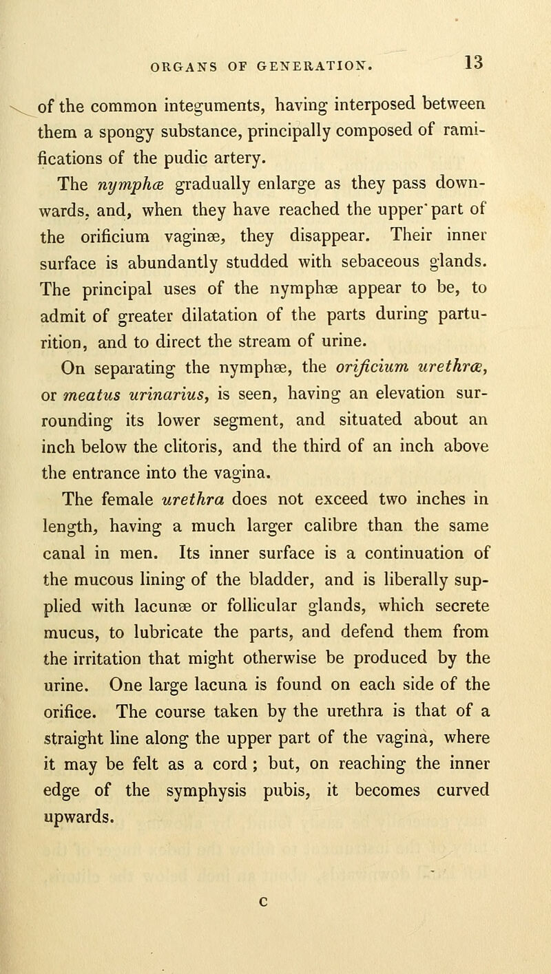 of the common integuments, having interposed between them a spongy substance, principally composed of rami- fications of the pudic artery. The nymphce gradually enlarge as they pass down- wards, and, when they have reached the upper part of the orificium vaginse, they disappear. Their inner surface is abundantly studded with sebaceous glands. The principal uses of the nymphse appear to be, to admit of greater dilatation of the parts during partu- rition, and to direct the stream of urine. On separating the nymphse, the orificium urethra, or meatus urinarius, is seen, having an elevation sur- rounding its lower segment, and situated about an inch below the clitoris, and the third of an inch above the entrance into the vagina. The female urethra does not exceed two inches in length, having a much larger calibre than the same canal in men. Its inner surface is a continuation of the mucous lining of the bladder, and is liberally sup- plied with lacunse or follicular glands, which secrete mucus, to lubricate the parts, and defend them from the irritation that might otherwise be produced by the urine. One large lacuna is found on each side of the orifice. The course taken by the urethra is that of a straight line along the upper part of the vagina, where it may be felt as a cord ; but, on reaching the inner edge of the symphysis pubis, it becomes curved upwards.