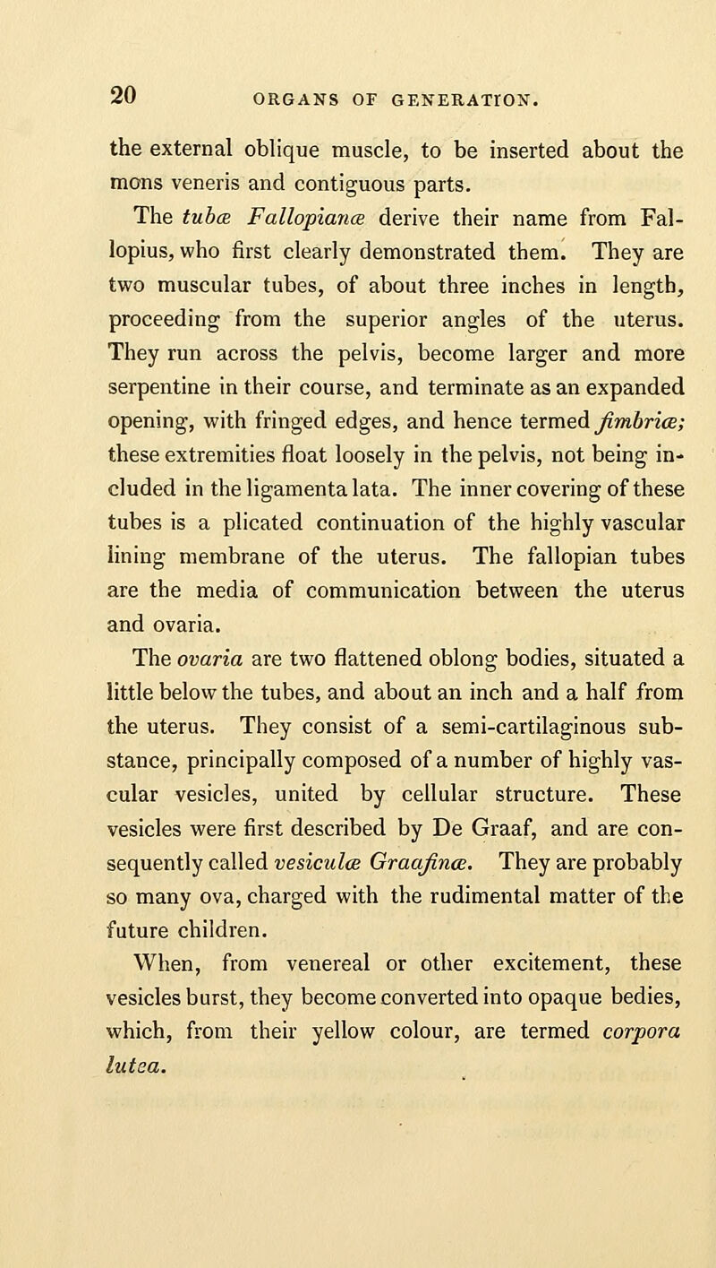 the external oblique muscle, to be inserted about the mons veneris and contiguous parts. The tubas. Fallopiance derive their name from Fal- lopius, who first clearly demonstrated them. They are two muscular tubes, of about three inches in length, proceeding from the superior angles of the uterus. They run across the pelvis, become larger and more serpentine in their course, and terminate as an expanded opening, with fringed edges, and hence termed fimbrice; these extremities float loosely in the pelvis, not being in- cluded in the ligamenta lata. The inner covering of these tubes is a plicated continuation of the highly vascular lining membrane of the uterus. The fallopian tubes are the media of communication between the uterus and ovaria. The ovaria are two flattened oblong bodies, situated a little below the tubes, and about an inch and a half from the uterus. They consist of a semi-cartilaginous sub- stance, principally composed of a number of highly vas- cular vesicles, united by cellular structure. These vesicles were first described by De Graaf, and are con- sequently called vesiculce Graqfinoe. They are probably so many ova, charged with the rudimental matter of the future children. When, from venereal or other excitement, these vesicles burst, they become converted into opaque bedies, which, from their yellow colour, are termed corpora lutea.