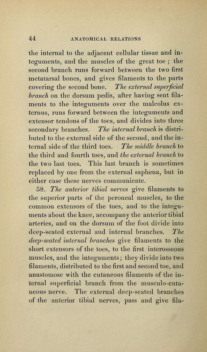 the internal to the adjacent cellular tissue and in- teguments, and the muscles of the great toe ; the second branch runs forward between the two first metatarsal bones, and gives filaments to the parts covering the second bone. The external superficial branch on the dorsum pedis, after having sent fila- ments to the integuments over the maleolus ex- ternus, runs forward between the integuments and extensor tendons of the toes, and divides into three secondary branches. The internal branch is distri- buted to the external side of the second, and the in- ternal side of the third toes. The middle branch to the third and fourth toes, and the external branch to the two last toes. This last branch is sometimes replaced by one from the external saphena, but in either case these nerves communicate. 58. The anterior tibial nerves give filaments to the superior parts of the peroneal muscles, to the common extensors of the toes, and to the integu- ments about the knee, accompany the anterior tibial arteries, and on the dorsum of the foot divide into deep-seated external and internal branches. The deep-seated internal branches give filaments to the short extensors of the toes, to the first interosseous muscles, and the integuments; they divide into two filaments, distributed to the first and second toe, and anastomose with the cutaneous filaments of the in- ternal superficial branch from the musculocuta- neous nerve. The external deep-seated branches of the anterior tibial nerves, pass and give fila-