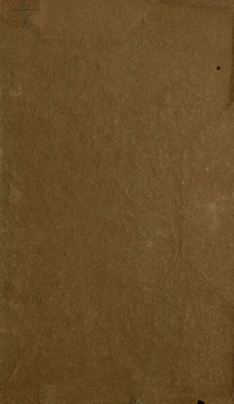 - :' /;.■■.,. ■ ■ .