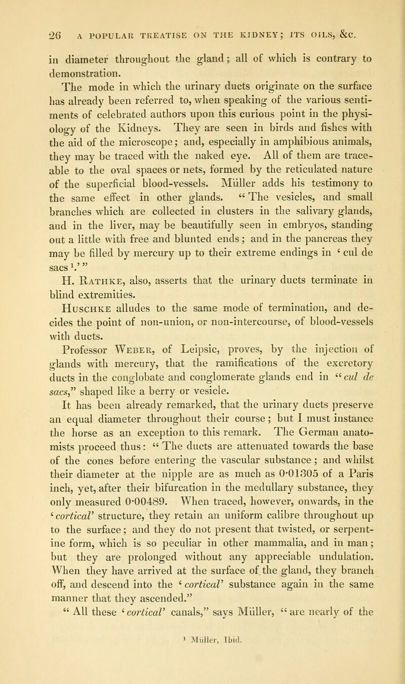 in diameter throughout the gland; all of which is contrary to demonstration. The mode in which the urinary ducts originate on the surface has already been referred to, when speaking of the various senti- ments of celebrated authors upon this curious point in the physi- ology of the Kidneys. They are seen in birds and fishes with the aid of the microscope; and, especially in amphibious animals, they may be traced with the naked eye. All of them are trace- able to the oval spaces or nets, formed by the reticulated nature of the superficial blood-vessels. Miiller adds his testimony to the same effect in other glands.  The vesicles, and small branches which are collected in clusters in the salivary glands, and in the liver, may be beautifully seen in embryos, standing out a little with free and blunted ends; and in the pancreas they may be filled by mercury up to their extreme endings in ' cul de sacs V  H. Rathke, also, asserts that the urinary ducts terminate in blind extremities. Huschke alludes to the same mode of termination, and de- cides the point of non-union, or non-intercourse, of blood-vessels with ducts. Professor Weber, of Leipsic, proves, by the injection of glands with mercury, that the ramifications of the excretory ducts in the conglobate and conglomerate glands end in  cul de sacs, shaped like a berry or vesicle. It has been already remarked, that the urinary ducts preserve an equal diameter throughout their course; but I must instance the horse as an exception to this remark. The German anato- mists proceed thus:  The ducts are attenuated towards the base of the cones before entering the vascular substance; and whilst their diameter at the nipple are as much as 0-01305 of a Paris inch, yet, after their bifurcation in the medullary substance, they only measured 0*00489. When traced, however, onwards, in the ' corticaV structure, they retain an uniform calibre throughout up to the surface; and they do not present that twisted, or serpent- ine form, which is so peculiar in other mammalia, and in man; but they are prolonged without any appreciable undulation. When they have arrived at the surface of the gland, they branch off, and descend into the i cortical' substance again in the same manner that they ascended.  All these 'corticaV canals, says Miiller, are nearty of the 1 Miiller, Ibid.