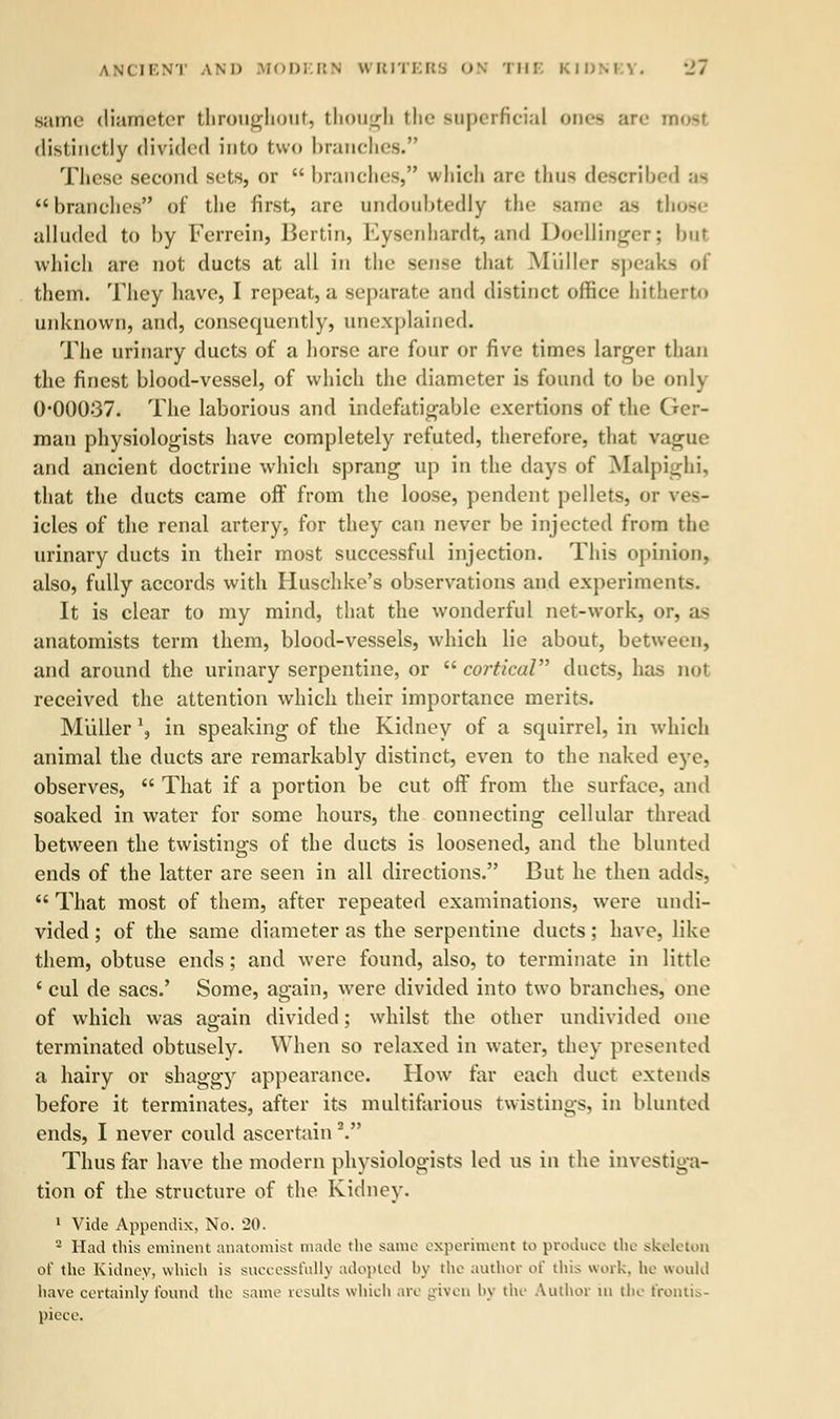 same diameter throughout, though the superficial ones are most distinctly divided into two branchei These second sets, or  branches, which are thus described as branches of the first, are undoubtedly the same as those alluded to by Ferrein, Bertin, Eysenhardt, and Doellinger; l>ut which are not ducts at all in the sense that Miiller speal them. They have, I repeat, a separate and distinct office hit! unknown, and, consequently, unexplained. The urinary ducts of a horse are four or five times larger than the finest blood-vessel, of which the diameter is found to be only 0*00037. The laborious and indefatigable exertions of the Ger- man physiologists have completely refuted, therefore, that vague and ancient doctrine which sprang up in the days of Malpighi, that the ducts came off from the loose, pendent pellets, or ves- icles of the renal artery, for they can never be injected from the urinary ducts in their most successful injection. This opinion, also, fully accords with Huschke's observations and experiment-. It is clear to my mind, that the wonderful net-work, or, as anatomists term them, blood-vessels, which lie about, between, and around the urinary serpentine, or  cortical ducts, has not received the attention which their importance merits. Miiller l, in speaking of the Kidney of a squirrel, in which animal the ducts are remarkably distinct, even to the naked eye, observes,  That if a portion be cut off from the surface, and soaked in water for some hours, the connecting cellular thread between the twistings of the ducts is loosened, and the blunted ends of the latter are seen in all directions. But he then adds,  That most of them, after repeated examinations, were undi- vided ; of the same diameter as the serpentine ducts; have, like them, obtuse ends; and were found, also, to terminate in little ' cul de sacs.' Some, again, were divided into two branches, one of which was again divided; whilst the other undivided one terminated obtusely. When so relaxed in water, they presented a hairy or shaggy appearance. How far each duct extends before it terminates, after its multifarious twistings, in blunted ends, I never could ascertain V Thus far have the modern physiologists led us in the investiga- tion of the structure of the Kidney. 1 Vide Appendix, No. 20. 2 Had this eminent anatomist made the same experiment to produce the skeleton of the Kidney, which is successfull) adopted by the author of this work, he would have certainly found the same results which are given by the Author m the frontis- piece.