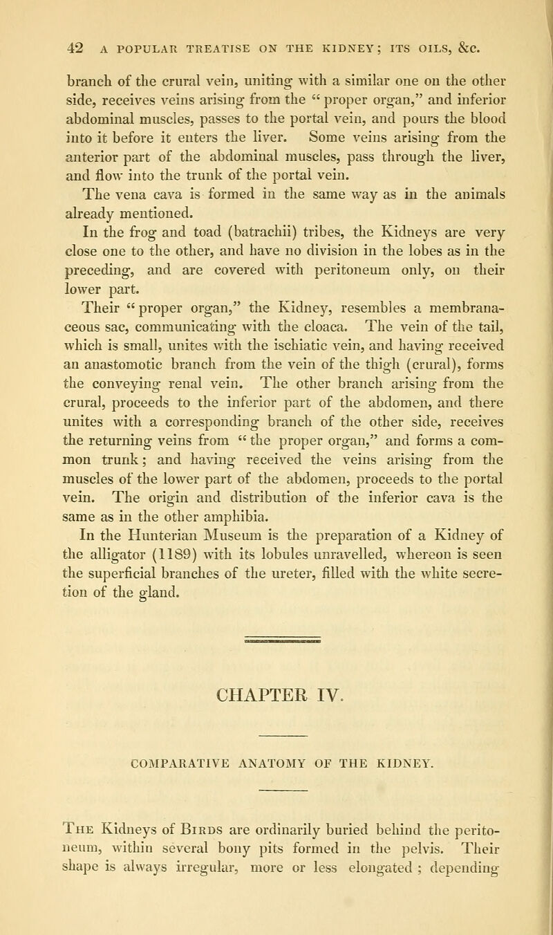 branch of the crural vein, uniting with a similar one on the other side, receives veins arising- from the  proper organ, and inferior abdominal muscles, passes to the portal vein, and pours the blood into it before it enters the liver. Some veins arising from the anterior part of the abdominal muscles, pass through the liver, and flow into the trunk of the portal vein. The vena cava is formed in the same way as in the animals already mentioned. In the frog and toad (batrachii) tribes, the Kidneys are very close one to the other, and have no division in the lobes as in the preceding, and are covered with peritoneum only, on their lower part. Their  proper organ, the Kidney, resembles a membrana- ceous sac, communicating with the cloaca. The vein of the tail, which is small, unites with the ischiatic vein, and having received an anastomotic branch from the vein of the thigh (crural), forms the conveying renal vein. The other branch arising from the crural, proceeds to the inferior part of the abdomen, and there unites with a corresponding branch of the other side, receives the returning veins from  the proper organ, and forms a com- mon trunk; and having received the veins arising from the muscles of the lower part of the abdomen, proceeds to the portal vein. The origin and distribution of the inferior cava is the same as in the other amphibia. In the Hunterian Museum is the preparation of a Kidney of the alligator (1189) with its lobules unravelled, whereon is seen the superficial branches of the ureter, filled with the white secre- tion of the gland. CHAPTER IV= COMPARATIVE ANATOMY OF THE KIDNEY. The Kidneys of Birds are ordinarily buried behind the perito- neum, within several bony pits formed in the pelvis. Their shape is always irregular, more or less elongated ; depending