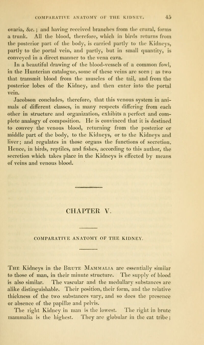 ovarii, &e.; and having received branches from the crural, formt a trunk. All the blood, therefore, which in birds retains from the posterior part of the body, is carried partly to the kidi partly to the portal vein, and partly, but in small quantity, is convoyed in a direct manner to the vena cava. In a beautiful drawing of the blood-vessels of a common fowl, in the Ilunterian catalogue, some of these veins are seen ; as two that transmit blood from the muscles of the tail, and from the posterior lobes of the Kidney, and then enter into the portal vein. Jacobson concludes, therefore, that this venous system in ani- mals of different classes, in many respects differing from each other in structure and organization, exhibits a perfect and com- plete analogy of composition. He is convinced that it is destined to convey the venous blood, returning from the posterior or middle part of the body, to the Kidneys, or to the Kidneys and liver; and regulates in those organs the functions of secretion. Hence, in birds, reptiles, and fishes, according to this author, the secretion which takes place in the Kidneys is effected by means of veins and venous blood. CHAPTER V. COMPARATIVE ANATOMY OF THE KIDNEY. The Kidneys in the Brute Mammalia are essentially similar to those of man, in their minute structure. The supply ot' blood is also similar. The vascular and the medullary substances are alike distinguishable. Their position, their form, and the relative thickness of the two substances vary, and so does the presence or absence of the papilla? and pelvis. The right Kidney in man is the lowest. The right in brute mammalia is the highest. They are globular in the cat tribe: