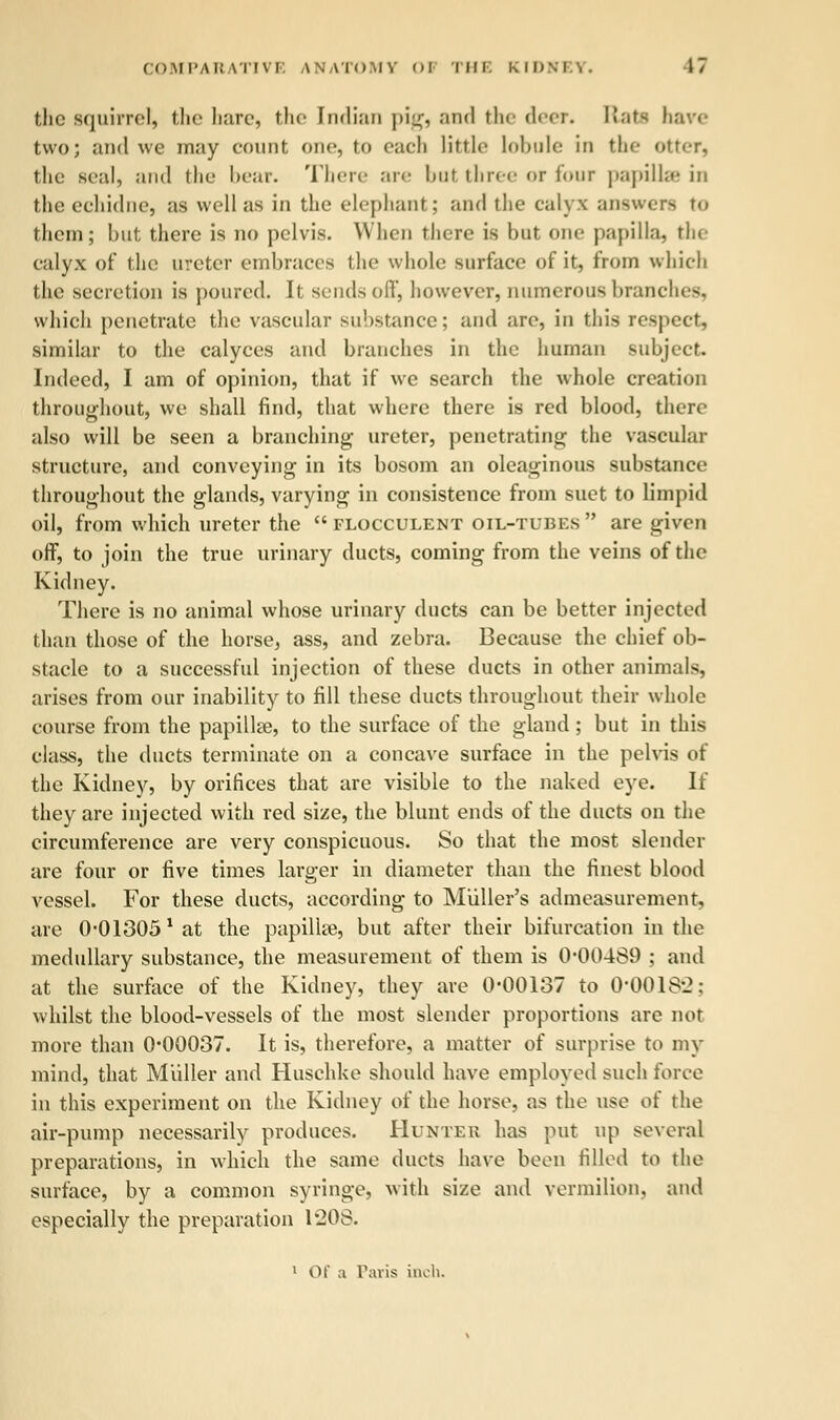 the squirrel, the bare, the Indian pig, and the deer. Rail hare two; and we may count one, to each little lobule in the otter, the seal, and the hear. There are but three <»r four papillae in the echidne, as well as in the elephant; and the calyx answers to them; but there is no pelvis. When there is but one papilla, the calyx of the ureter embraces the whole surface of it, from which the secretion is poured. It sends off, however, numerous branches, which penetrate the vascular substance; and are, in this respect, similar to the calyces and branches in the human subject. Indeed, I am of opinion, that if we search the whole creation throughout, we shall find, that where there is red blood, there also will be seen a branching- ureter, penetrating the vascular structure, and conveying in its bosom an oleaginous substance throughout the glands, varying in consistence from suet to limpid oil, from which ureter the  flocculent oil-tubes  are given off, to join the true urinary ducts, coming from the veins of the Kidney. There is no animal whose urinary ducts can be better injected than those of the horse, ass, and zebra. Because the chief ob- stacle to a successful injection of these ducts in other animals, arises from our inability to fill these ducts throughout their whole course from the papilla?, to the surface of the gland; but in this class, the ducts terminate on a concave surface in the pelvis of the Kidney, by orifices that are visible to the naked eye. If they are injected with red size, the blunt ends of the ducts on the circumference are very conspicuous. So that the most slender are four or five times larger in diameter than the finest blood vessel. For these ducts, according to Miiller's admeasurement, are 0-01305 1 at the papilla?, but after their bifurcation in the medullary substance, the measurement of them is 0*00489 ; and at the surface of the Kidney, they are 0-00137 to 0*00182; whilst the blood-vessels of the most slender proportions are nor more than 0*00037. It is, therefore, a matter of surprise to my mind, that Miiller and Huschke should have employed such force in this experiment on the Kidney of the horse, as the use of the air-pump necessarily produces. Hunter lias put up several preparations, in which the same ducts have been filled to the surface, by a common syringe, with size and vermilion, and especially the preparation 1*208. 1 Of a Paris inch.