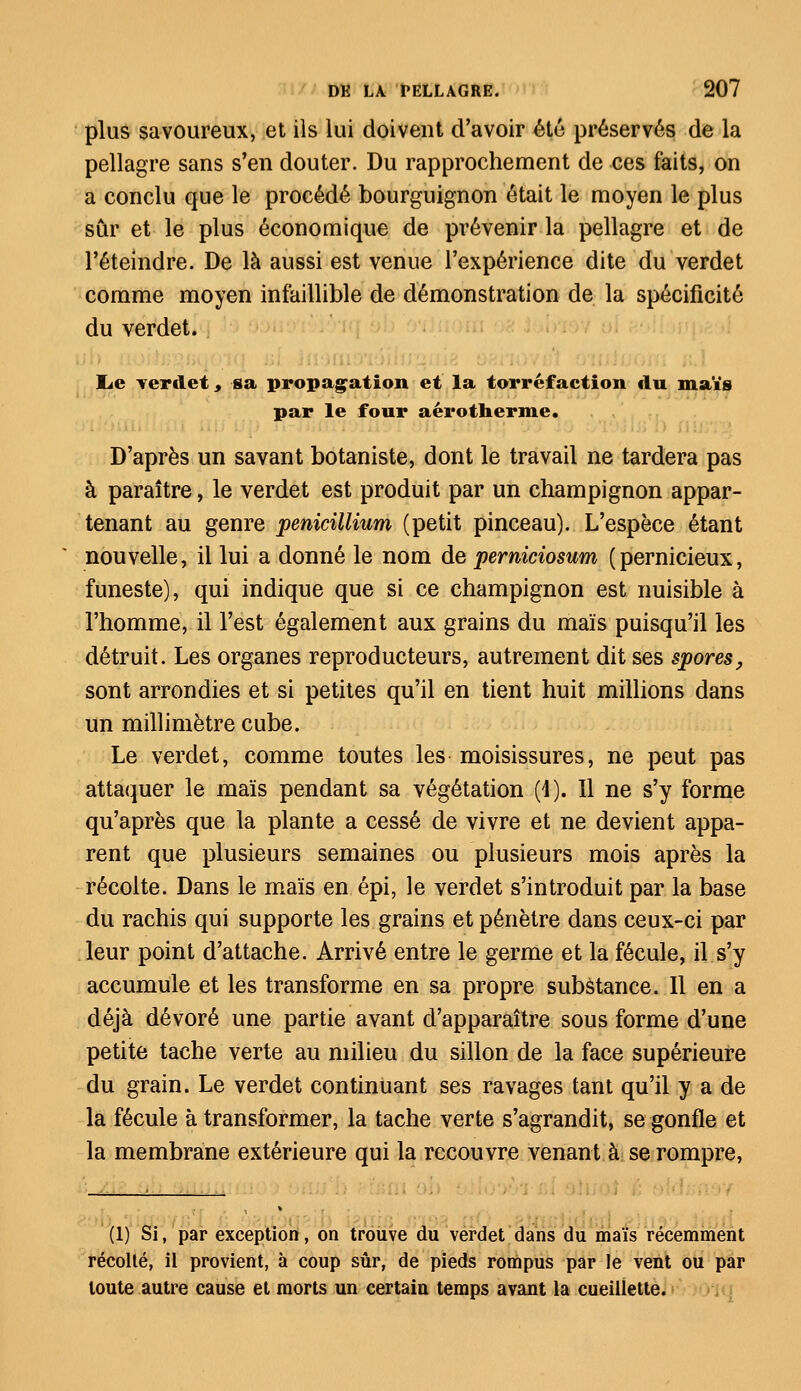 plus savoureux, et ils lui doivent d'avoir été préservés de la pellagre sans s'en douter. Du rapprochement de ces faits, on a conclu que le procédé bourguignon était le moyen le plus sûr et le plus économique de prévenir la pellagre et de l'éteindre. De là aussi est venue l'expérience dite du verdet comme moyen infaillible de démonstration de la spécificité du verdet. lie verdet, sa propagation et la torréfaction du maïs par le four aérotherme. D'après un savant botaniste, dont le travail ne tardera pas à paraître, le verdet est produit par un champignon appar- tenant au genre pénicillium (petit pinceau). L'espèce étant nouvelle, il lui a donné le nom de perniciosum (pernicieux, funeste), qui indique que si ce champignon est nuisible à l'homme, il l'est également aux grains du maïs puisqu'il les détruit. Les organes reproducteurs, autrement dit ses spores, sont arrondies et si petites qu'il en tient huit millions dans un millimètre cube. Le verdet, comme toutes les moisissures, ne peut pas attaquer le maïs pendant sa végétation (4). Il ne s'y forme qu'après que la plante a cessé de vivre et ne devient appa- rent que plusieurs semaines ou plusieurs mois après la récolte. Dans le maïs en épi, le verdet s'introduit par la base du rachis qui supporte les grains et pénètre dans ceux-ci par leur point d'attache. Arrivé entre le germe et la fécule, il s'y accumule et les transforme en sa propre substance. Il en a déjà dévoré une partie avant d'apparaître sous forme d'une petite tache verte au milieu du sillon de la face supérieure du grain. Le verdet continuant ses ravages tant qu'il y a de la fécule à transformer, la tache verte s'agrandit, se gonfle et la membrane extérieure qui la recouvre venant à se rompre, (1) Si, par exception, on trouve du verdet dans du maïs récemment récolté, il provient, à coup sûr, de pieds rompus par le vent ou par toute autre cause et morts un certain temps avant la cueillette.