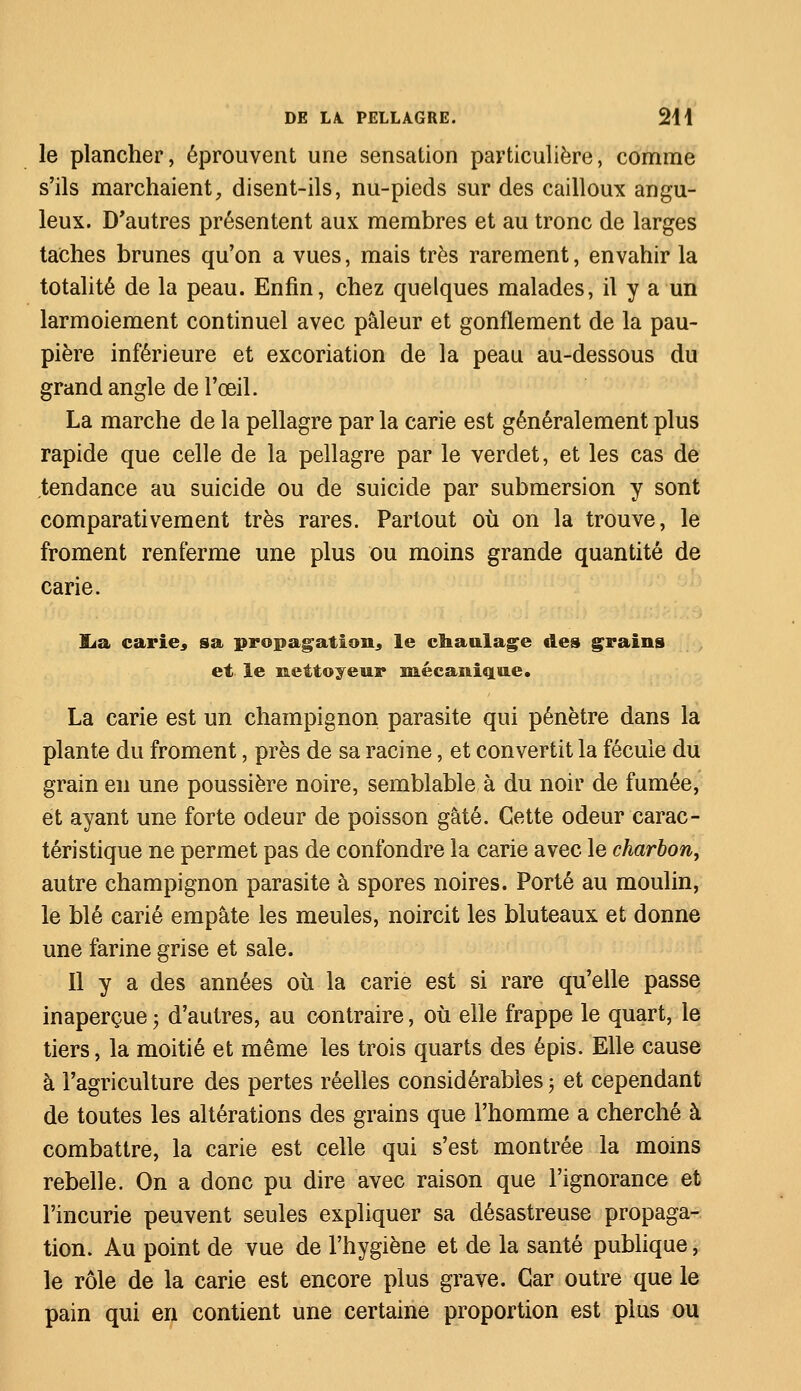 le plancher, éprouvent une sensation particulière, comme s'ils marchaient, disent-ils, nu-pieds sur des cailloux angu- leux. D'autres présentent aux membres et au tronc de larges taches brunes qu'on a vues, mais très rarement, envahir la totalité de la peau. Enfin, chez quelques malades, il y a un larmoiement continuel avec pâleur et gonflement de la pau- pière inférieure et excoriation de la peau au-dessous du grand angle de l'œil. La marche de la pellagre par la carie est généralement plus rapide que celle de la pellagre par le verdet, et les cas de tendance au suicide ou de suicide par submersion y sont comparativement très rares. Partout où on la trouve, le froment renferme une plus ou moins grande quantité de carie. lia carie., sa propagation* le chaulage des grains et le nettoyeur mécanique. La carie est un champignon parasite qui pénètre dans la plante du froment, près de sa racine, et convertit la fécule du grain en une poussière noire, semblable à du noir de fumée, et ayant une forte odeur de poisson gâté. Cette odeur carac- téristique ne permet pas de confondre la carie avec le charbon, autre champignon parasite à spores noires. Porté au moulin, le blé carié empâte les meules, noircit les bluteaux et donne une farine grise et sale. Il y a des années où la carie est si rare qu'elle passe inaperçue ; d'autres, au contraire, où elle frappe le quart, le tiers, la moitié et même les trois quarts des épis. Elle cause à l'agriculture des pertes réelles considérables ; et cependant de toutes les altérations des grains que l'homme a cherché à combattre, la carie est celle qui s'est montrée la moins rebelle. On a donc pu dire avec raison que l'ignorance et l'incurie peuvent seules expliquer sa désastreuse propaga- tion. Au point de vue de l'hygiène et de la santé publique, le rôle de la carie est encore plus grave. Car outre que le pain qui en contient une certaine proportion est plus ou