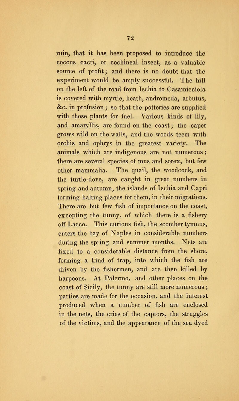 ruin, that it has heen proposed to introduce the coccus cacti, or cochineal insect, as a valuable source of profit; and there is no doubt that the experiment would be amply successful. The hill on the left of the road from Ischia to Casamicciola is covered with myrtle, heath, andromeda, arbutus, &c. in profusion ; so that the potteries are supplied with those plants for fuel. Various kinds of lily, and amaryllis, are found on the coast; the caper grows wild on the walls, and the woods teem with orchis and ophrys in the greatest variety. The animals which are indigenous are not numerous ; there are several species of mus and sorex, but few other mammalia. The quail, the woodcock, and the turtle-dove, are caught in great numbers in spring and autumn, the islands of Ischia and Capri forming halting places for them, in their migrations. There are but few fish of importance on the coast, excepting the tunny, of which there is a fishery offLacco. This curious fish, the scomber tymnus, enters the bay of Naples in considerable numbers during the spring and summer months. Nets are fixed to a considerable distance from the shore, fonning a kind of trap, into which the fish are driven by the fishermen, and are then killed by harpoons. At Palermo, and other places on the coast of Sicily, the tunny are still more numerous ; parties are made for the occasion, and the interest produced when a number of fish are enclosed in the nets, the cries of the captors, the struggles of the victims, and the appearance of the sea dyed
