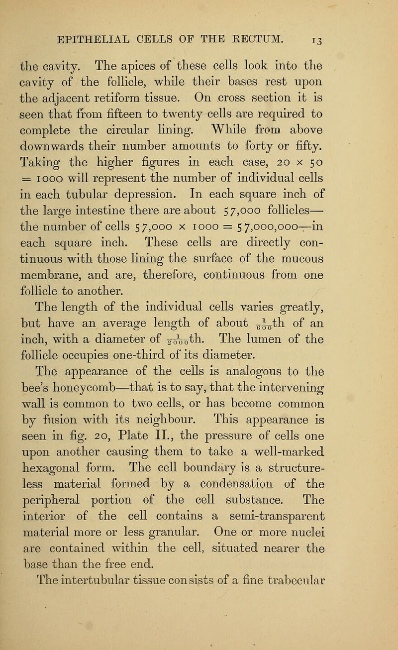 the cavity. The apices of these cells look into the cavity of the follicle, while their bases rest upon the adjacent retiform tissue. On cross section it is seen that from fifteen to twenty cells are required to complete the circular lining. While from above downwards their number amounts to forty or fifty. Taking the higher figures in each case, 20 x 50 = 1000 will represent the number of individual cells in each tubular depression. In each square inch of the large intestine there are about 5 7,000 follicles— the number of cells 57,000 x 1000 = 5 7,000,000—-in each square inch. These cells are directly con- tinuous with those lining the surface of the mucous membrane, and are, therefore, continuous from one follicle to another. The length of the individual cells varies greatly, but have an average length of about ^—th of an inch, with a diameter of gwoth. The lumen of the follicle occupies one-third of its diameter. The appearance of the cells is analogous to the bee's honeycomb—that is to say, that the intervening wall is common to two cells, or has become common by fusion with its neighbour. This appearance is seen in fig. 20, Plate II., the pressure of cells one upon another causing them to take a well-marked hexagonal form. The cell boundary is a structure- less material formed by a condensation of the peripheral portion of the cell substance. The interior of the cell contains a semi-transparent material more or less granular. One or more nuclei are contained within the cell, situated nearer the base than the free end. The intertubular tissue consists of a fine trabecular