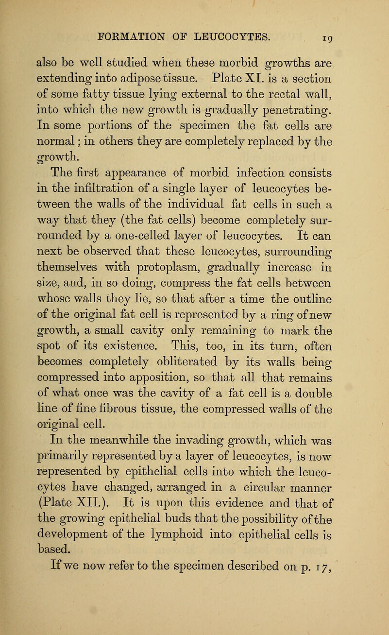 also be well studied when these morbid growths are extending into adipose tissue. Plate XI. is a section of some fatty tissue lying external to the rectal wall, into which the new growth is gradually penetrating. In some portions of the specimen the fat cells are normal; in others they are completely replaced by the growth. The first appearance of morbid infection consists in the infiltration of a single layer of leucocytes be- tween the walls of the individual fat cells in such a way that they (the fat cells) become completely sur- rounded by a one-celled layer of leucocytes. It can next be observed that these leucocytes, surrounding themselves with protoplasm, gradually increase in size, and, in so doing, compress the fat cells between whose walls they lie, so that after a time the outline of the original fat cell is represented by a ring of new growth, a small cavity only remaining to mark the spot of its existence. This, too, in its turn, often becomes completely obliterated by its walls being compressed into apposition, so that all that remains of what once was the cavity of a fat cell is a double line of fine fibrous tissue, the compressed walls of the original cell. In the meanwhile the invading growth, which was primarily represented by a layer of leucocytes, is now represented by epithelial cells into which the leuco- cytes have changed, arranged in a circular manner (Plate XII.). It is upon this evidence and that of the growing epithelial buds that the possibility of the development of the lymphoid into epithelial cells is based. If we now refer to the specimen described on p. 17,