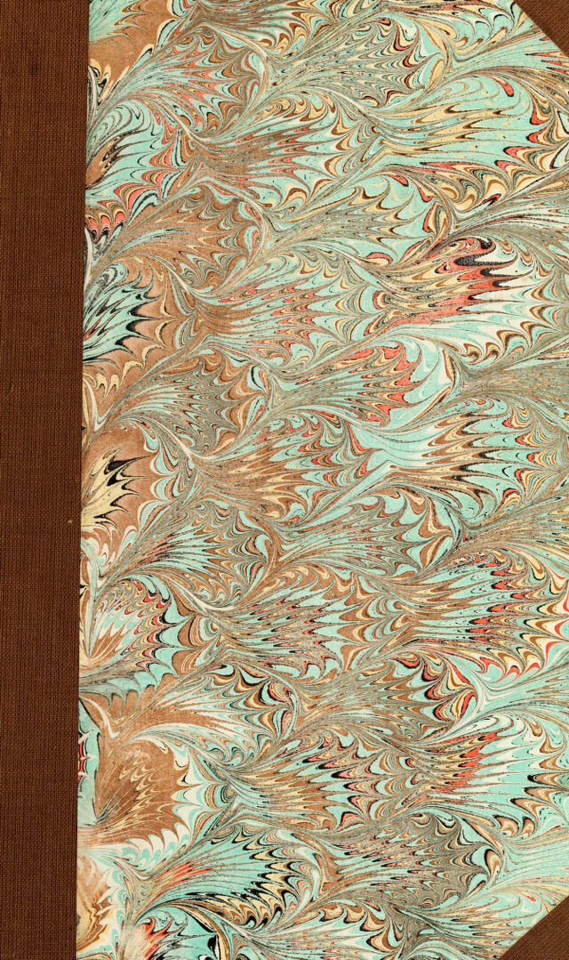 digitised image 1