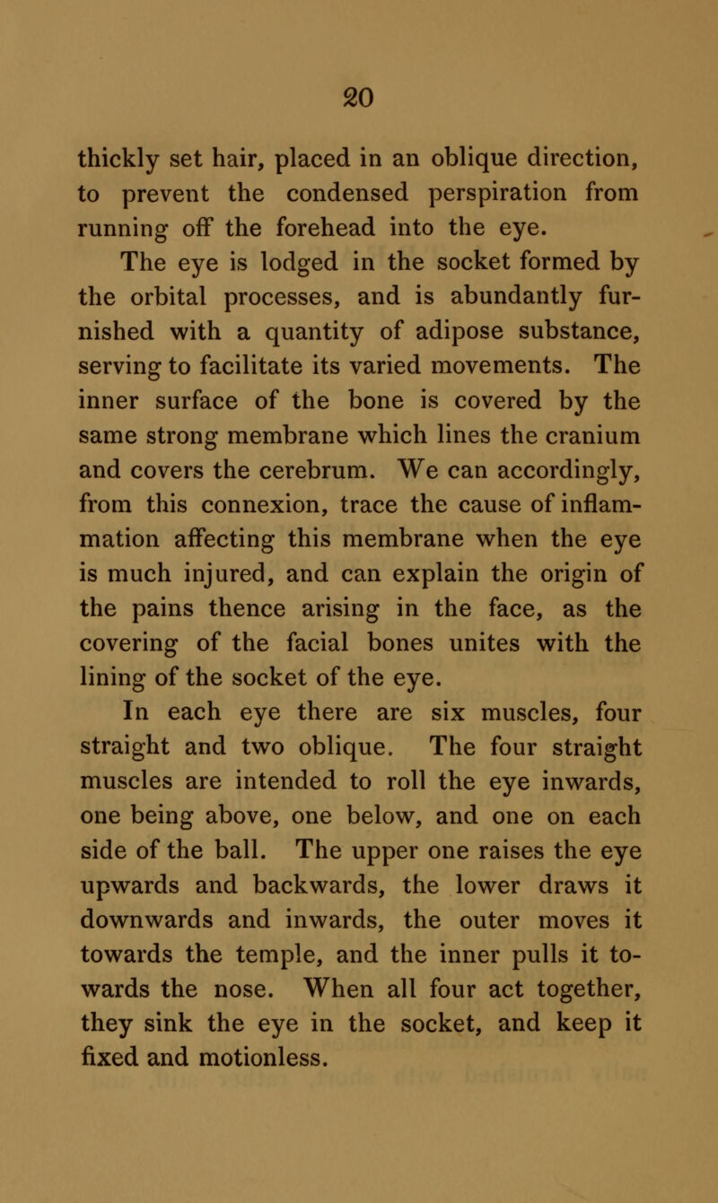thickly set hair, placed in an oblique direction, to prevent the condensed perspiration from running off the forehead into the eye. The eye is lodged in the socket formed by the orbital processes, and is abundantly fur- nished with a quantity of adipose substance, serving to facilitate its varied movements. The inner surface of the bone is covered by the same strong membrane which lines the cranium and covers the cerebrum. We can accordingly, from this connexion, trace the cause of inflam- mation affecting this membrane when the eye is much injured, and can explain the origin of the pains thence arising in the face, as the covering of the facial bones unites with the lining of the socket of the eye. In each eye there are six muscles, four straight and two oblique. The four straight muscles are intended to roll the eye inwards, one being above, one below, and one on each side of the ball. The upper one raises the eye upwards and backwards, the lower draws it downwards and inwards, the outer moves it towards the temple, and the inner pulls it to- wards the nose. When all four act together, they sink the eye in the socket, and keep it fixed and motionless.