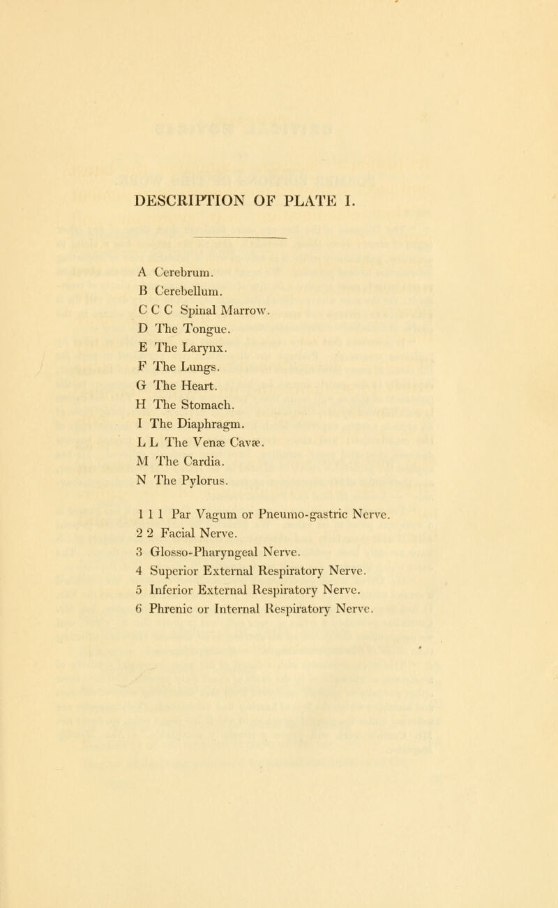 DESCRIPTION OF PLATE I. A Cerebrum. B Cerebellum. C C C Spinal Marrow. D The Tongue. E The Larynx. F The Lungs. G The Heart. H The Stomach. 1 The Diaphragm. L L The Venae Cava?. M The Cardia. N The Pylorus. Ill Par Vagum or Pneumo-gastric Nerve. 2 2 Facial Nerve. 3 Glosso-Pharyngeal Nerve. 4 Superior External Respiratory Nerve. 5 Inferior External Respiratory Nerve. 6 Phrenic or Internal Respiratory Nerve.
