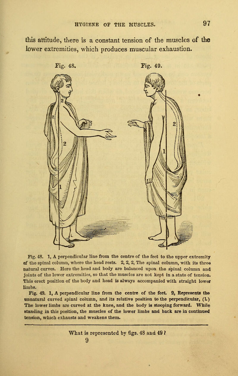 this attitude, there is a constant tension of the muscles of the lower extremities, which produces muscular exhaustion. Fig. 48, Fig. 49. Fig. 48. 1, A perpendicular line from the centre of the feet to the upper extremity of the spinal column, where the head rests. 2, 2, 2, The spinal column, with its three natural curves. Here the head and body are balanced upon the spinal column and joints of the lower extremities, so that the muscles are not kept in a state of tension. This erect position of the body and head is always accompanied with straight lower limbs. Fig. 49. 1, A perpendicular line from the centre of the feet. 2, Represents the unnatural curved spinal column, and its relative position to the perpendicular, (L) The lower limbs are curved at the knee, and the body is stooping forward. While standing in this position, the muscles of the lower limbs and back are in continued tension, which exhausts and weakens them. What is represented by figs. 48 and 49 ? 9