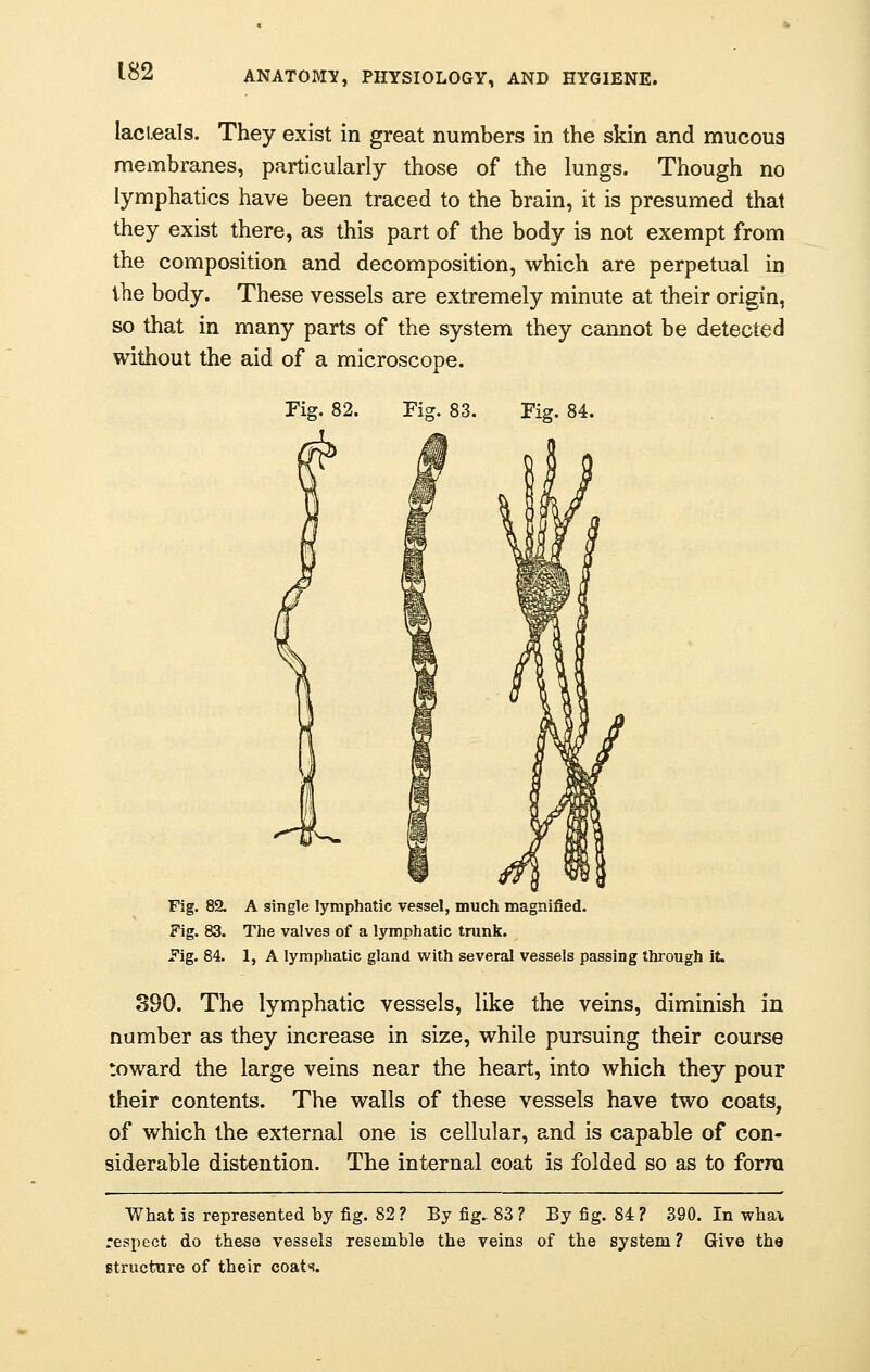 lacleals. They exist in great numbers in the skin and mucous membranes, particularly those of the lungs. Though no lymphatics have been traced to the brain, it is presumed that they exist there, as this part of the body is not exempt from the composition and decomposition, which are perpetual in the body. These vessels are extremely minute at their origin, so that in many parts of the system they cannot be detected without the aid of a microscope. Tig. 82. Fig. 83. Fig. 84. Fig. 82. A single lymphatic vessel, much magnified. Fig. 83. The valves of a lymphatic trunk. .Fig. 84. 1, A lymphatic gland with several vessels passing through it. 890. The lymphatic vessels, like the veins, diminish in number as they increase in size, while pursuing their course toward the large veins near the heart, into which they pour their contents. The walls of these vessels have two coats, of which the external one is cellular, and is capable of con- siderable distention. The internal coat is folded so as to form What is represented by fig. 82 ? By fig.. 83 ? By fig. 84 ? 390. In yrhax respect do these vessels resemble the veins of the system ? Give the structure of their coats.