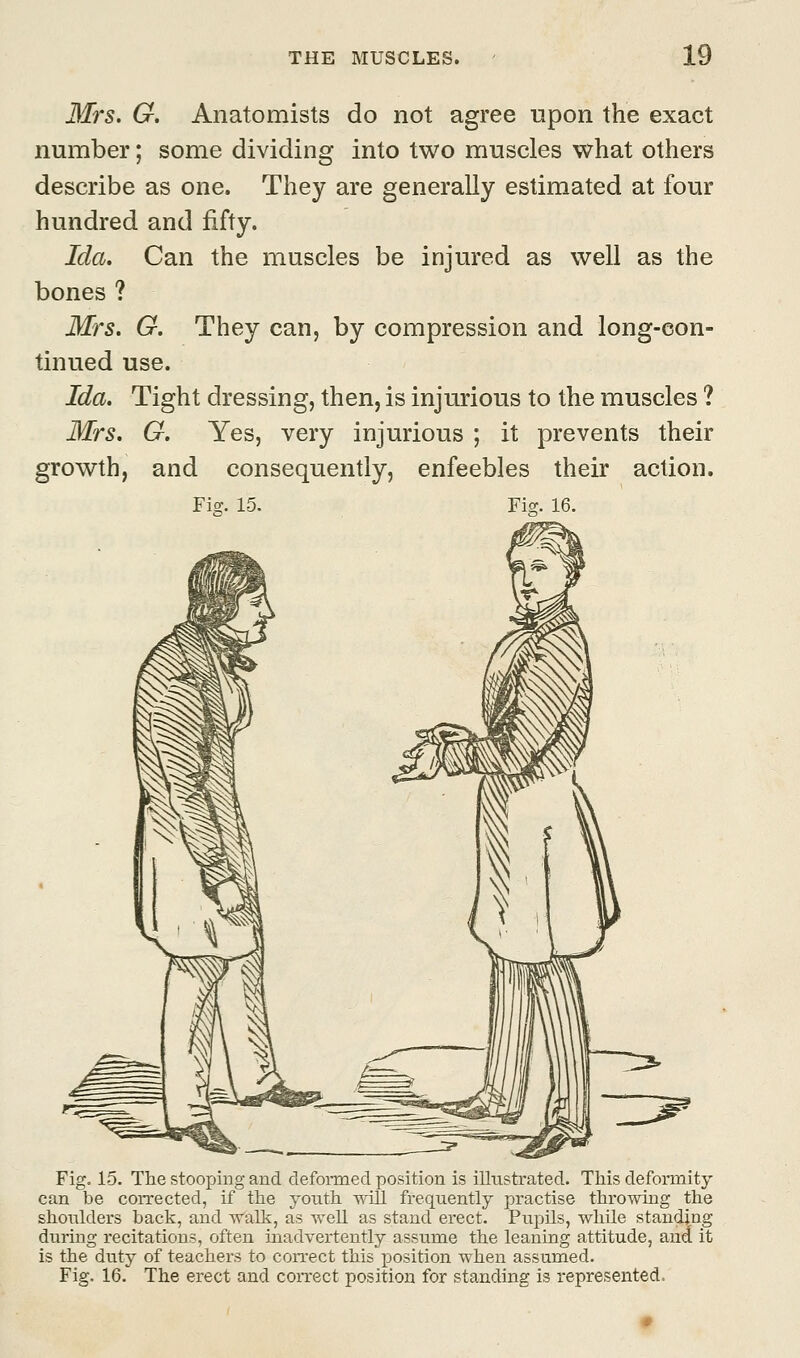 Mrs. G. Anatomists do not agree upon the exact number; some dividing into two muscles what others describe as one. They are generally estimated at four hundred and fifty. Ida. Can the muscles be injured as well as the bones ? Mrs. G. They can, by compression and long-con- tinued use. Ida. Tight dressing, then, is injurious to the muscles ? Mrs. G. Yes, very injurious ; it prevents their growth, and consequently, enfeebles their action. Fig. 15. Fig. 16. Fig. 15. The stooping and deformed position is illustrated. This deformity can be corrected, if the youth will frequently practise throwing the shoulders back, and walk, as well as stand erect. Pupils, while standing during recitations, often inadvertently assume the leaning attitude, and it is the duty of teachers to correct this position when assumed. Fig. 16. The erect and correct position for standing is represented,