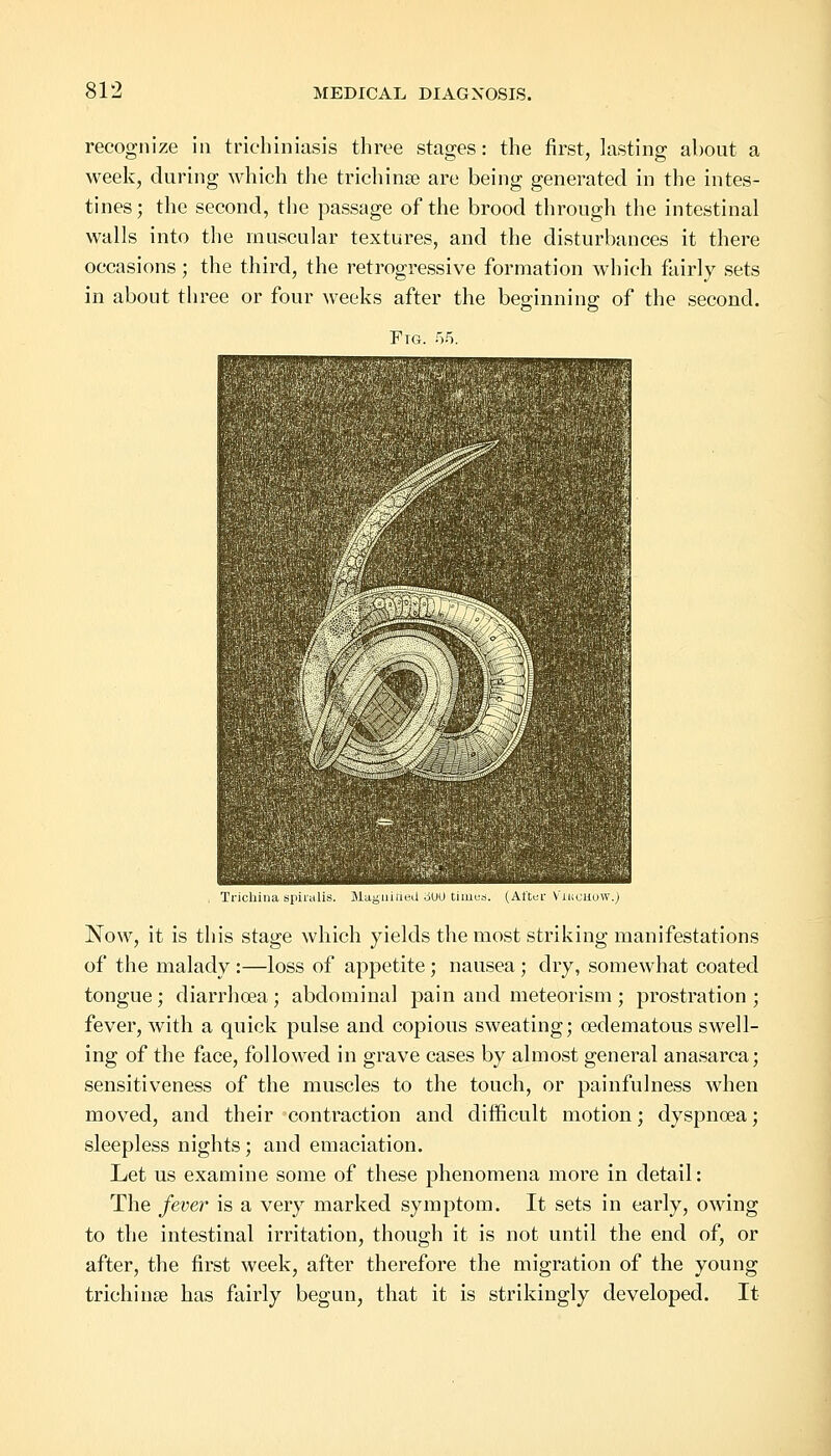 recognize in trichuriasis three stages: the first, lasting about a week, during which the trichina? are being generated in the intes- tines; the second, the passage of the brood through the intestinal walls into the muscular textures, and the disturbances it there occasions; the third, the retrogressive formation which fairly sets in about three or four weeks after the beginning of the second. Fig. r,5. Trichina spiralis. Magnified 3U0 times. (After Viuchow.) Now, it is this stage which yields the most striking manifestations of the malady :—loss of appetite; nausea; dry, somewhat coated tongue; diarrhoea; abdominal pain and meteorism; prostration; fever, with a quick pulse and copious sweating; oedematous swell- ing of the face, followed in grave cases by almost general anasarca; sensitiveness of the muscles to the touch, or painfulness when moved, and their contraction and difficult motion; dyspnoea; sleepless nights; and emaciation. Let us examine some of these phenomena more in detail: The fever' is a very marked symptom. It sets in early, owing to the intestinal irritation, though it is not until the end of, or after, the first week, after therefore the migration of the young trichina? has fairly begun, that it is strikingly developed. It