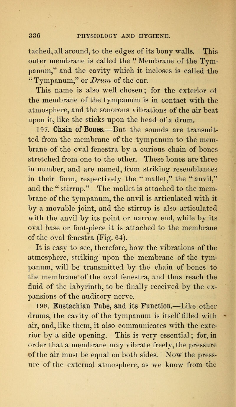 tached, all around, to the edges of its bony walls. This outer membrane is called the  Membrane of the Tym- panum, and the cavity which it incloses is called the  Tympanum, or Drum of the ear. This name is also well chosen; for the exterior of the membrane of the tympanum is in contact with the atmosphere, and the sonorous vibrations of the air beat upon it, like the sticks upon the head of a drum. 19 V. Chain of Bones.—But the sounds are transmit- ted from the membrane of the tympanum to the mem- brane of the oval fenestra by a curious chain of bones stretched from one to the other. These bones are three in number, and are named, from striking resemblances in their form, respectively the  mallet, the  anvil, and the  stirrup. The mallet is attached to the mem- brane of the tympanum, the anvil is articulated with it by a movable joint, and the stirrup is also articulated with the anvil by its point or narrow end, while by its oval base or foot-piece it is attached to the membrane of the oval fenestra (Fig. 64). It is easy to see, therefore, how the vibrations of the atmosphere, striking upon the membrane of the tym- panum, will be transmitted by the chain of bones to the membrane of the oval fenestra, and thus reach the fluid of the labyrinth, to be finally received by the ex- pansions of the auditory nerve. 198. Eustachian Tube, and its Function.—Like other drums, the cavity of the tympanum is itself filled with air, and, like them, it also communicates with the exte- rior by a side opening. This is very essential; for, in order that a membrane may vibrate freely, the pressure of the air must be equal on both sides. Now the press- ure of the external atmosphere, as we know from the