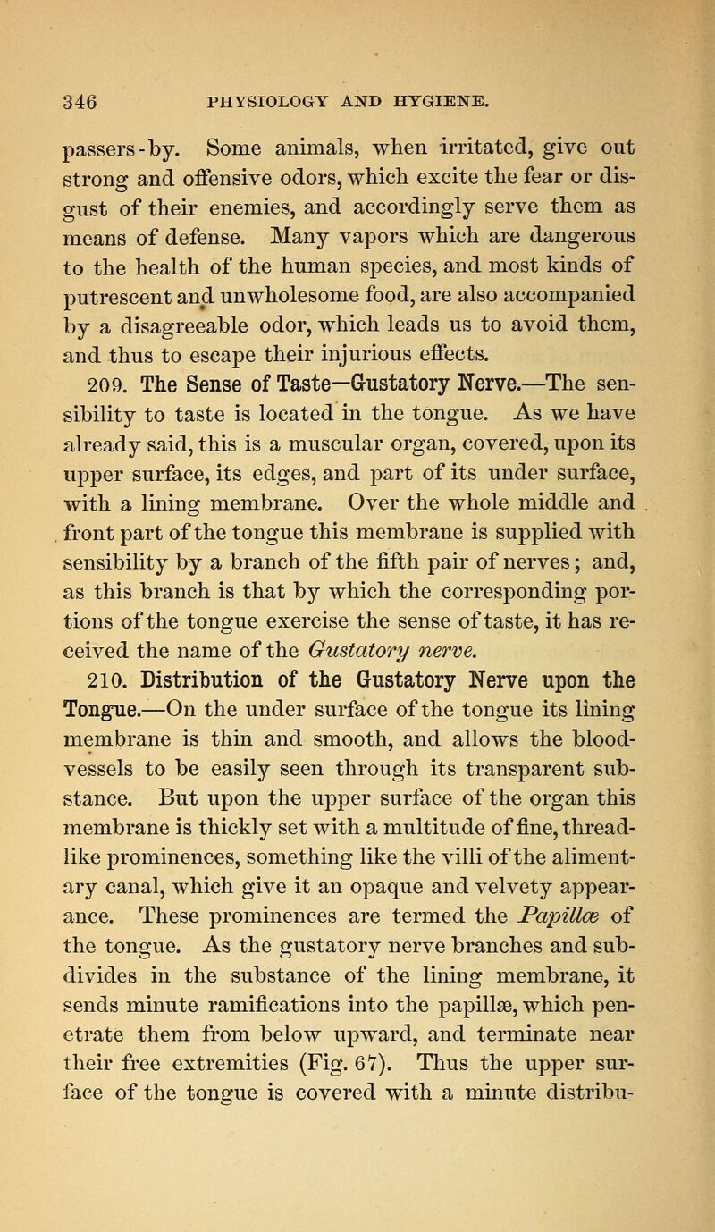 passers-by. Some animals, when irritated, give out strong and offensive odors, which excite the fear or dis- gust of their enemies, and accordingly serve them as means of defense. Many vapors which are dangerous to the health of the human species, and most kinds of putrescent and unwholesome food, are also accompanied by a disagreeable odor, which leads us to avoid them, and thus to escape their injurious effects. 209. The Sense of Taste—Gustatory Nerve.—The sen- sibility to taste is located in the tongue. As we have already said, this is a muscular organ, covered, upon its upper surface, its edges, and part of its under surface, with a lining membrane. Over the whole middle and front part of the tongue this membrane is supplied with sensibility by a branch of the fifth pair of nerves; and, as this branch is that by which the corresponding por- tions of the tongue exercise the sense of taste, it has re- ceived the name of the Gustatory nerve. 210. Distribution of the Gustatory Nerve upon the Tongue.—On the under surface of the tongue its lining membrane is thin and smooth, and allows the blood- vessels to be easily seen through its transparent sub- stance. But upon the upper surface of the organ this membrane is thickly set with a multitude of fine, thread- like prominences, something like the villi of the aliment- ary canal, which give it an opaque and velvety appear- ance. These prominences are termed the Papillce of the tongue. As the gustatory nerve branches and sub- divides in the substance of the lining membrane, it sends minute ramifications into the papillae, which pen- etrate them from below upward, and terminate near their free extremities (Fig. 67). Thus the upper sur- face of the tongue is covered with a minute distribu-