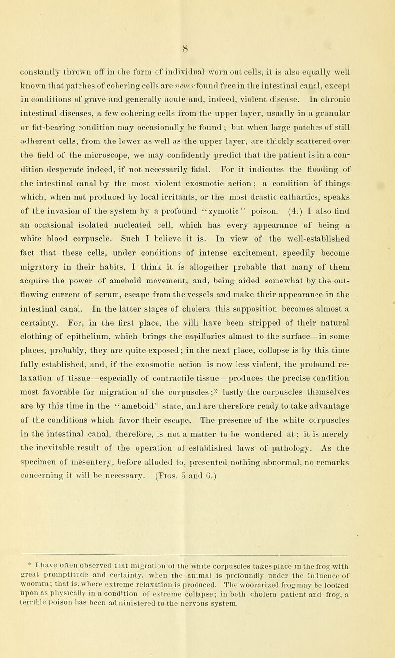 constantly thrown off in the form of individual worn out cells, it is also equally well known that patches of cohering cells are never found free in the intestinal canal, except in conditions of grave and generally acute and, indeed, violent disease. In chronic intestinal diseases, a few cohering cells from the upper layer, usually in a granular or fat-bearing condition may occasionally be found ; but when large patches of still adherent cells, from the lower as well as the upper layer, are thickly scattered over the iield of the microscope, we may confidently predict that the patient is in a con- dition desperate indeed, if not necessarily fatal. For it indicates the flooding of the intestinal canal by the most violent exosmotic action; a condition of things which, when not produced by local irritants, or the most drastic cathartics, speaks of the invasion of the system by a profound zymotic poison. (4.) I also find an occasional isolated nucleated cell, which has every appearance of being a white blood corpuscle. Such I believe it is. In view of the well-established fact that these cells, under conditions of intense excitement, speedily become migratory in their habits, I think it is altogether probable that many of them acquire the power of ameboid movement, and, being aided somewhat by the out- flowing current of serum, escape from the vessels and make their appearance in the intestinal canal. In the latter stages of cholera this supposition becomes almost a certainty. For, in the first place, the villi have been stripped of their natural clothing of epithelium, which brings the capillaries almost to the surface—in some places, probably, they are quite exposed; in the next place, collapse is by this time fully established, and, if the exosmotic action is now less violent, the profound re- laxation of tissue—especially of contractile tissue—produces the precise condition most favorable for migration of the corpuscles ;* lastly the corpuscles themselves are by this time in the ameboid state, and are therefore ready to take advantage of the conditions which favor their escape. The presence of the white corpuscles in the intestinal canal, therefore, is not a matter to be wondered at; it is merely the inevitable result of the operation of established laws of pathology. As the specimen of mesentery, before alluded to, presented nothing abnormal, no remarks concerning it will be necessary. (Fios. -5 and G.) * I liave ol'ton observed that migration of the white corpuscles takes place in the frog with great promptitiule and certainty, when the animal is profoundly under the intlnence of woorara; that is, where extreme relaxation is produced. The woorarized frog may be looked upon as physically in a condHiou of extreme collapse; in both cholera patient and frog, a terrible poison has been administered to the nervons system.