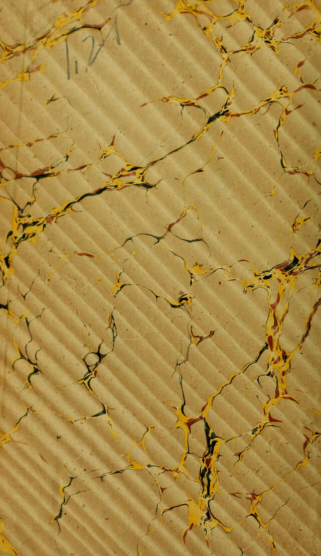 digitised image 2