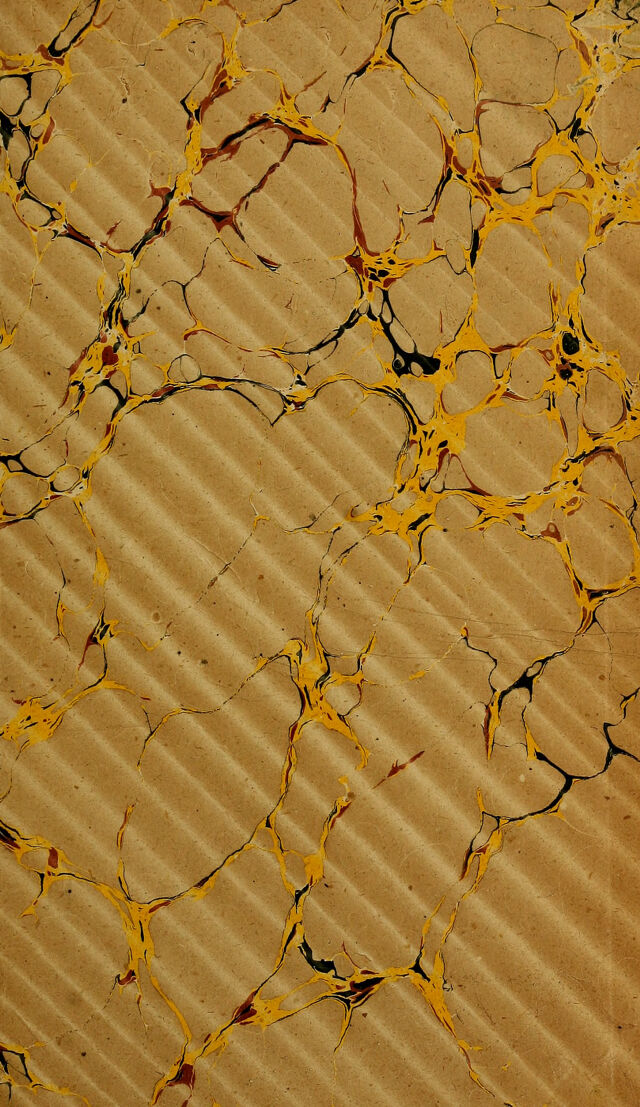 digitised image 3